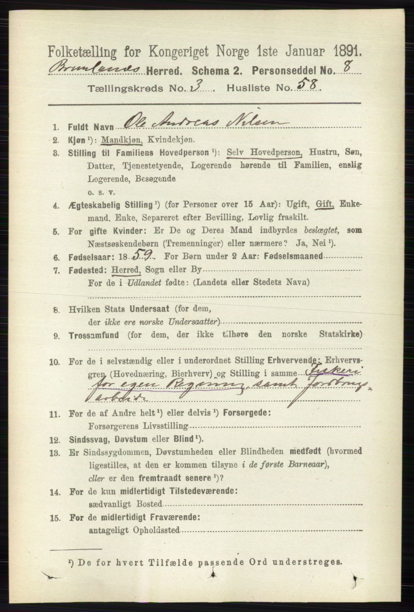 RA, 1891 census for 0726 Brunlanes, 1891, p. 1705