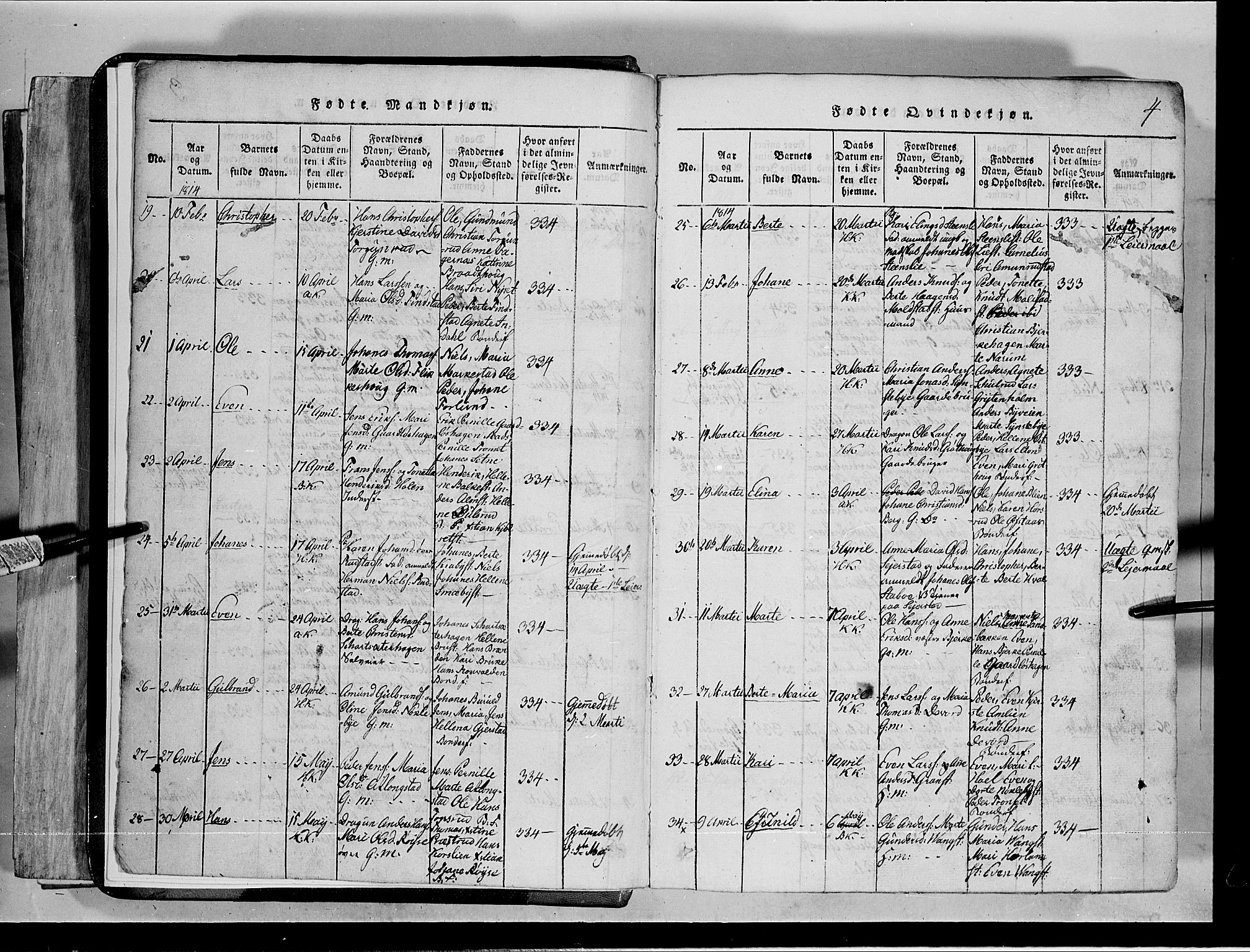 Toten prestekontor, AV/SAH-PREST-102/H/Ha/Hab/L0001: Parish register (copy) no. 1, 1814-1820, p. 4