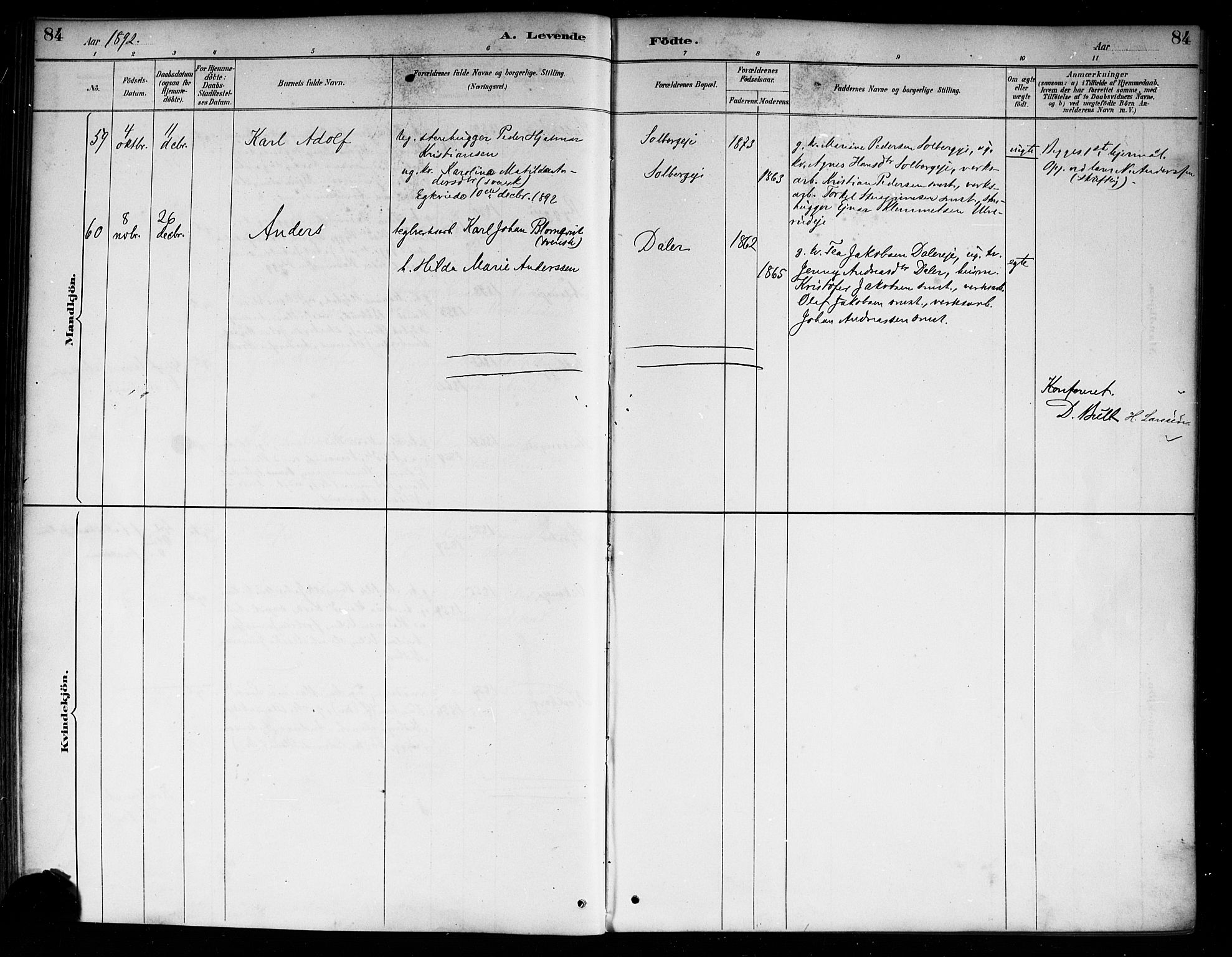 Nedre Eiker kirkebøker, AV/SAKO-A-612/F/Fa/L0003: Parish register (official) no. 3, 1885-1892, p. 84