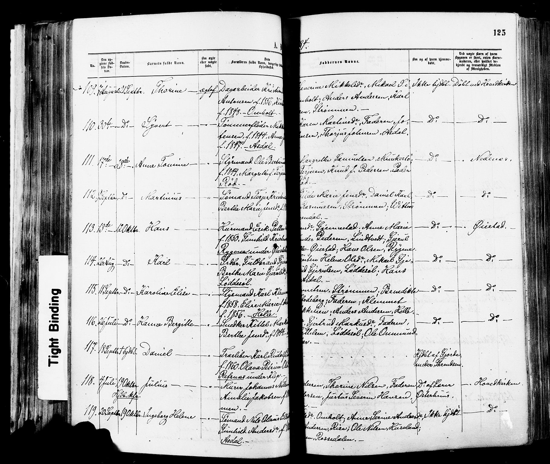 Øyestad sokneprestkontor, AV/SAK-1111-0049/F/Fa/L0016: Parish register (official) no. A 16, 1874-1886, p. 125