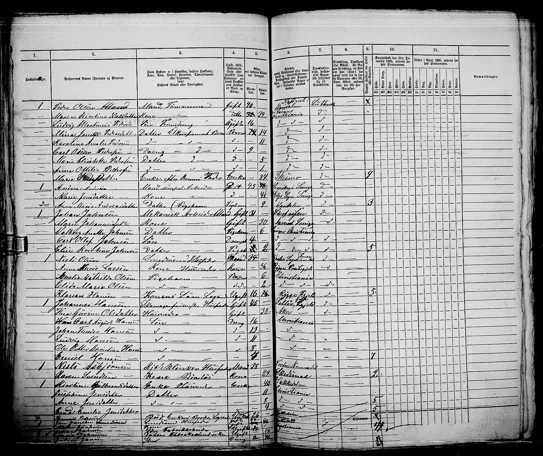 RA, 1865 census for Kristiania, 1865, p. 5042