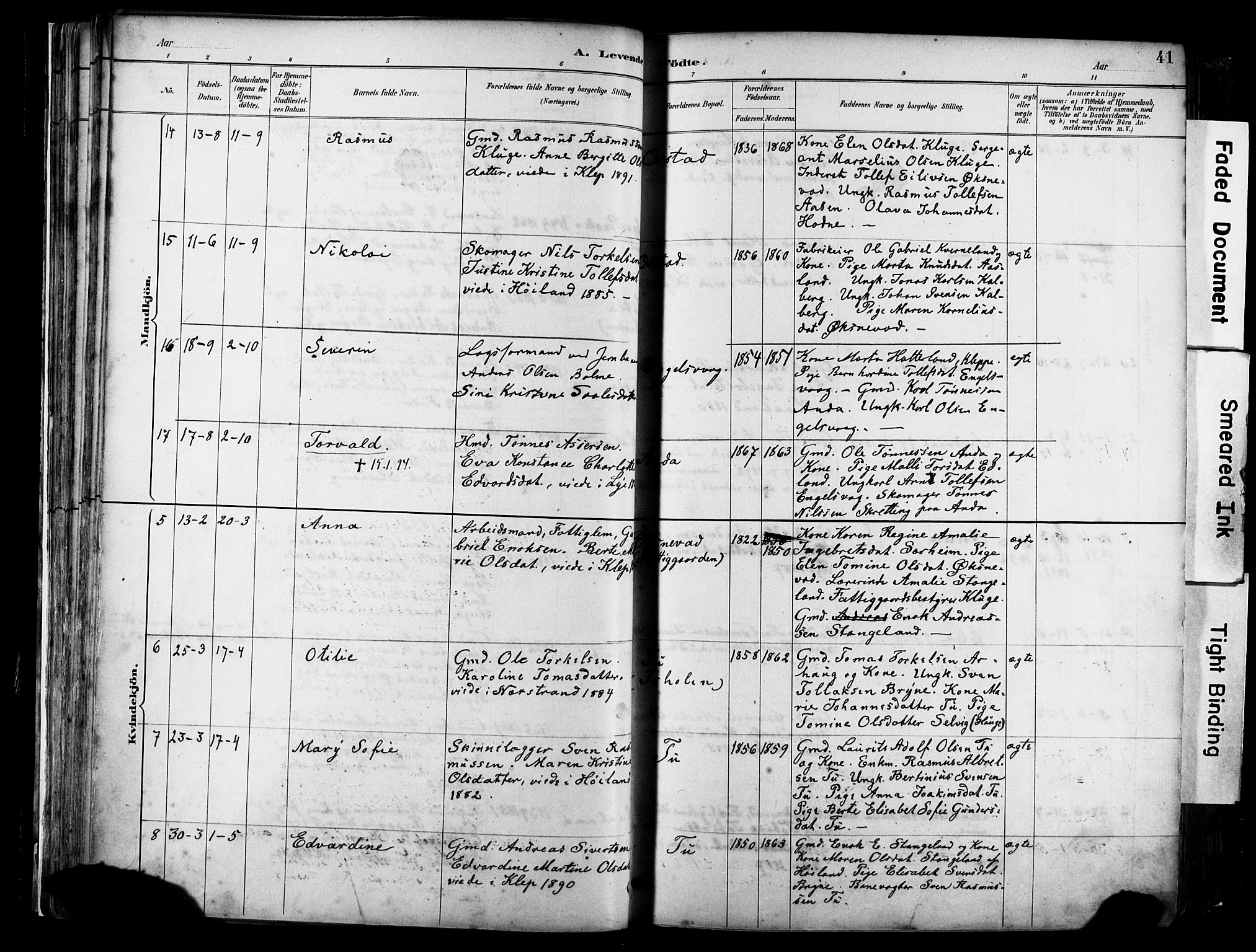 Klepp sokneprestkontor, AV/SAST-A-101803/001/3/30BA/L0009: Parish register (official) no. A 7, 1886-1915, p. 41