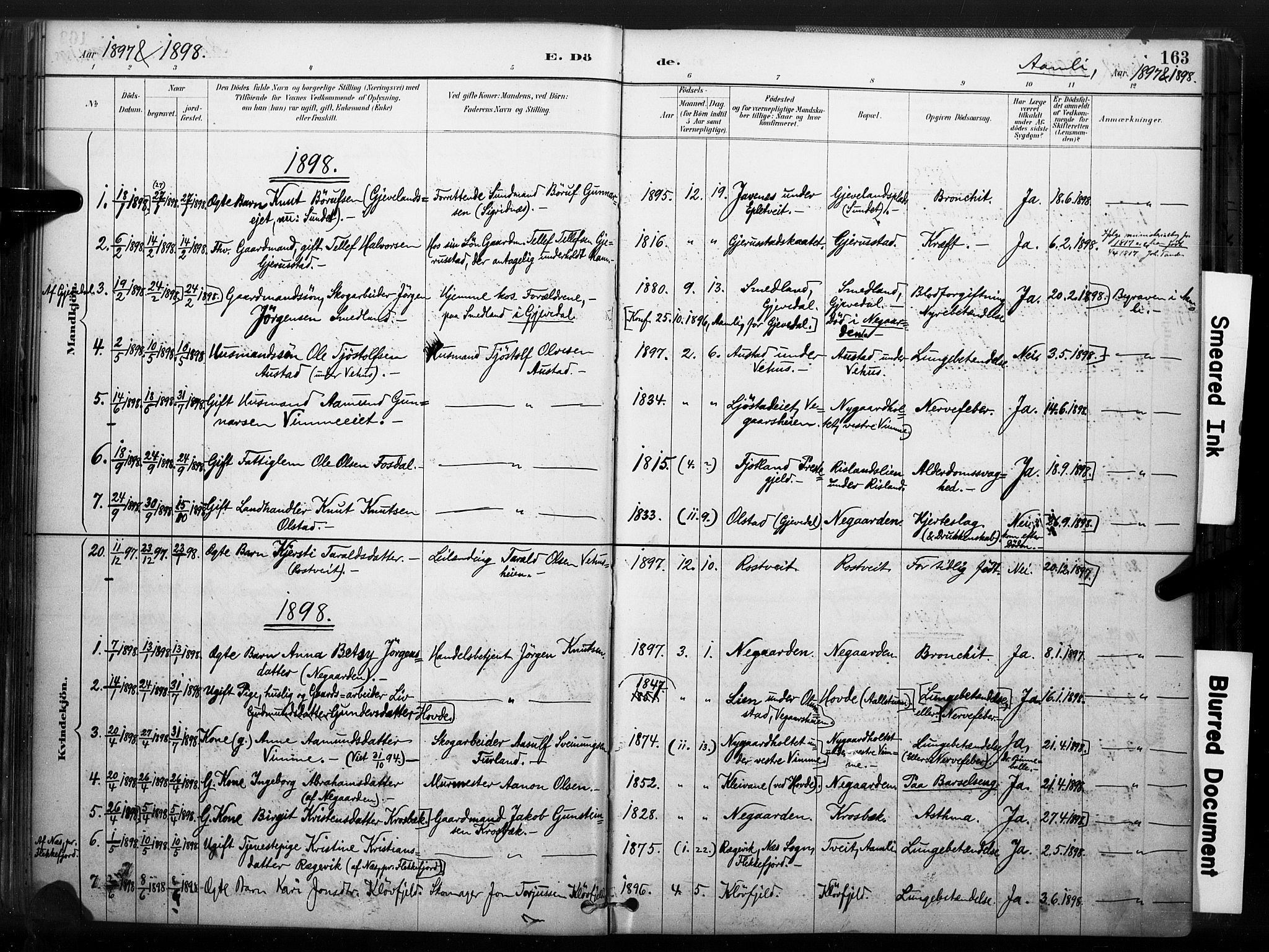 Åmli sokneprestkontor, SAK/1111-0050/F/Fa/Fac/L0010: Parish register (official) no. A 10 /1, 1885-1899, p. 163
