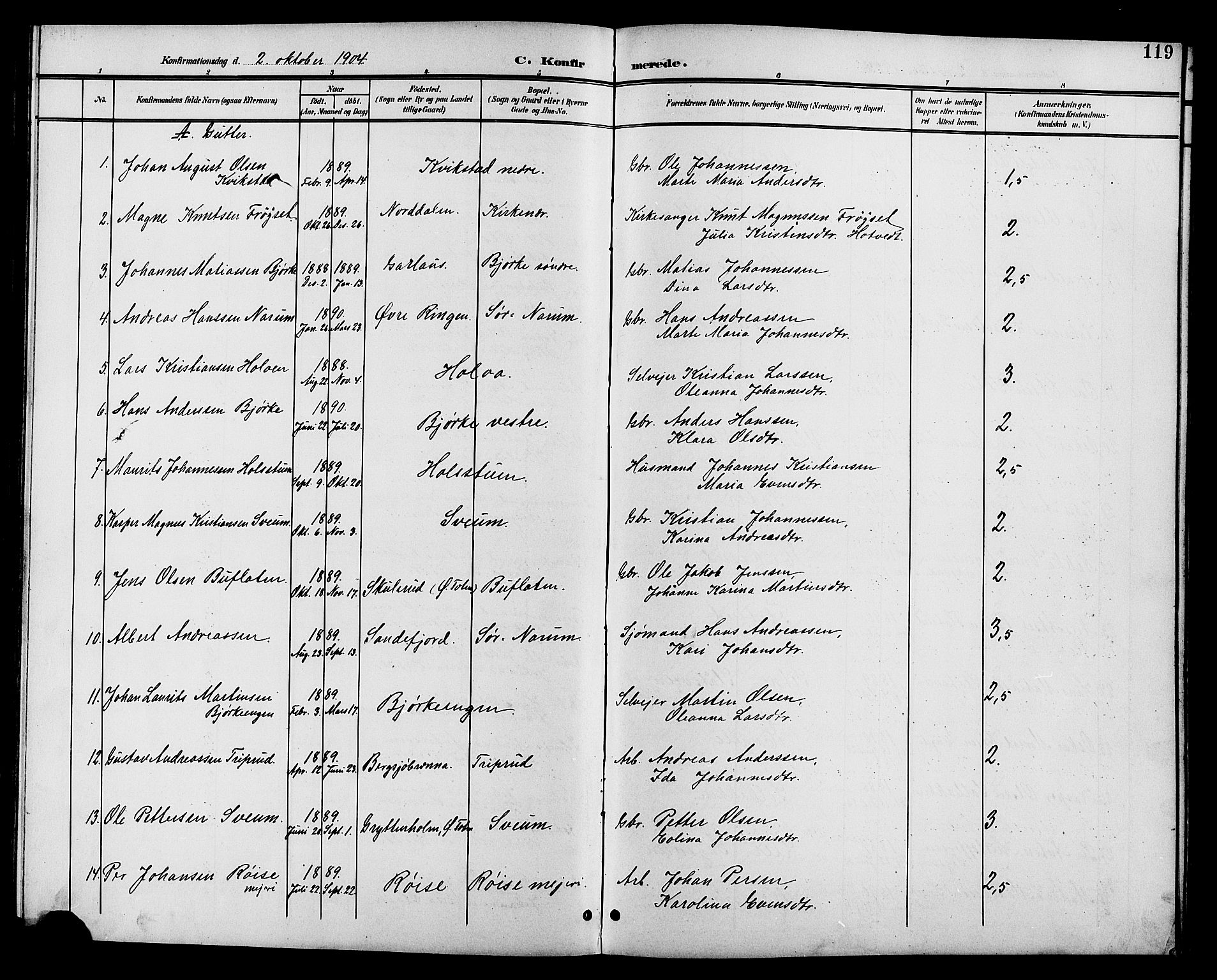 Vestre Toten prestekontor, AV/SAH-PREST-108/H/Ha/Hab/L0011: Parish register (copy) no. 11, 1901-1911, p. 119