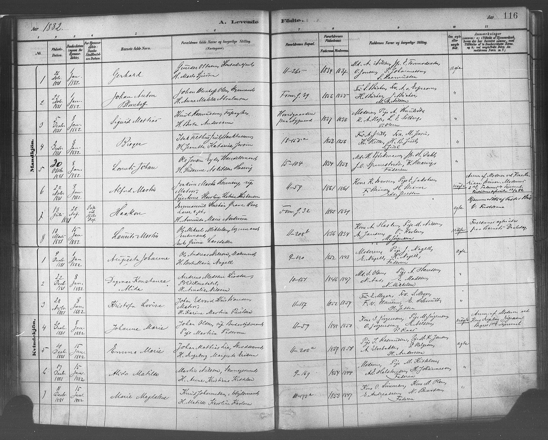 Domkirken sokneprestembete, AV/SAB-A-74801/H/Haa/L0023: Parish register (official) no. B 6, 1879-1887, p. 116