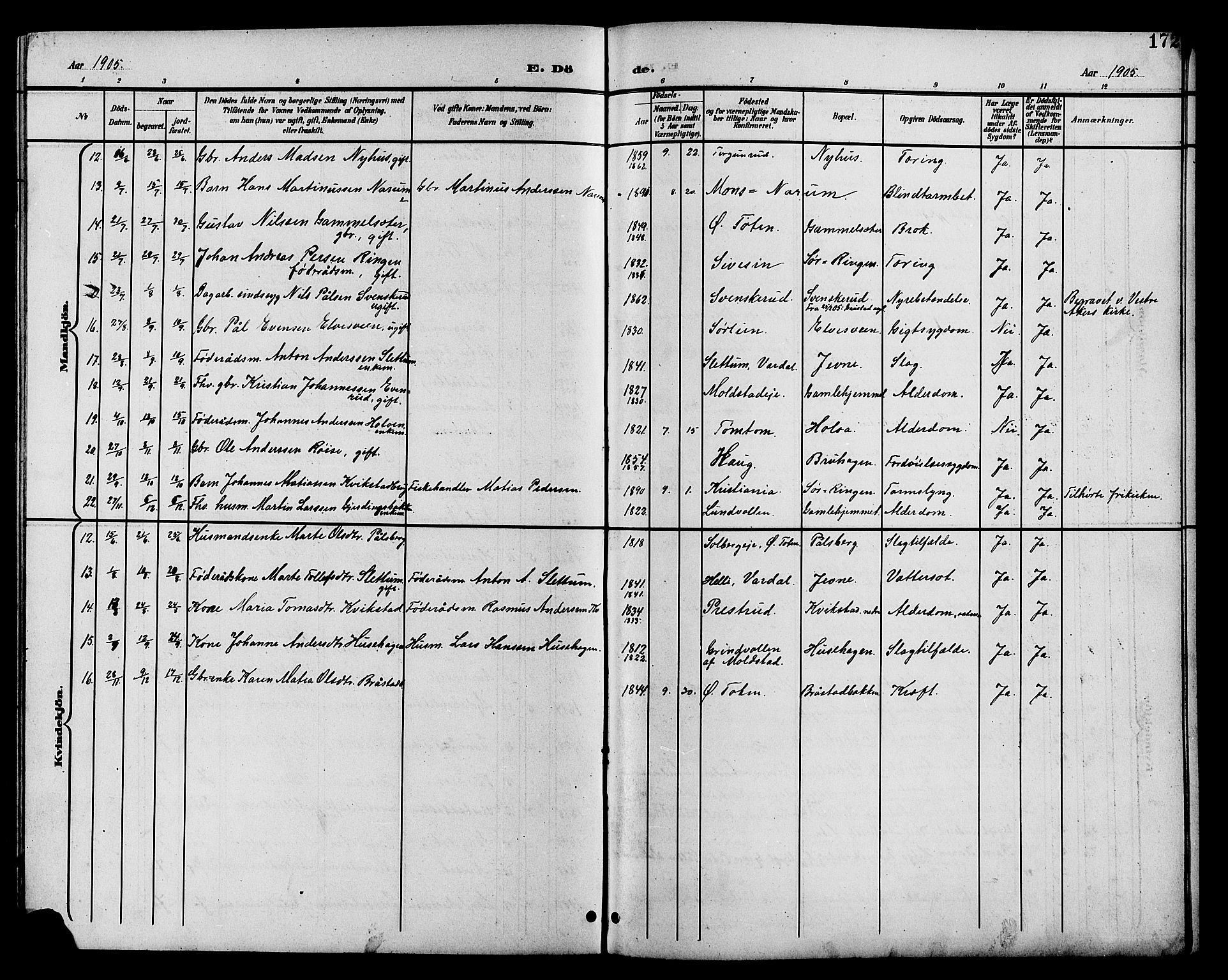 Vestre Toten prestekontor, AV/SAH-PREST-108/H/Ha/Hab/L0011: Parish register (copy) no. 11, 1901-1911, p. 172