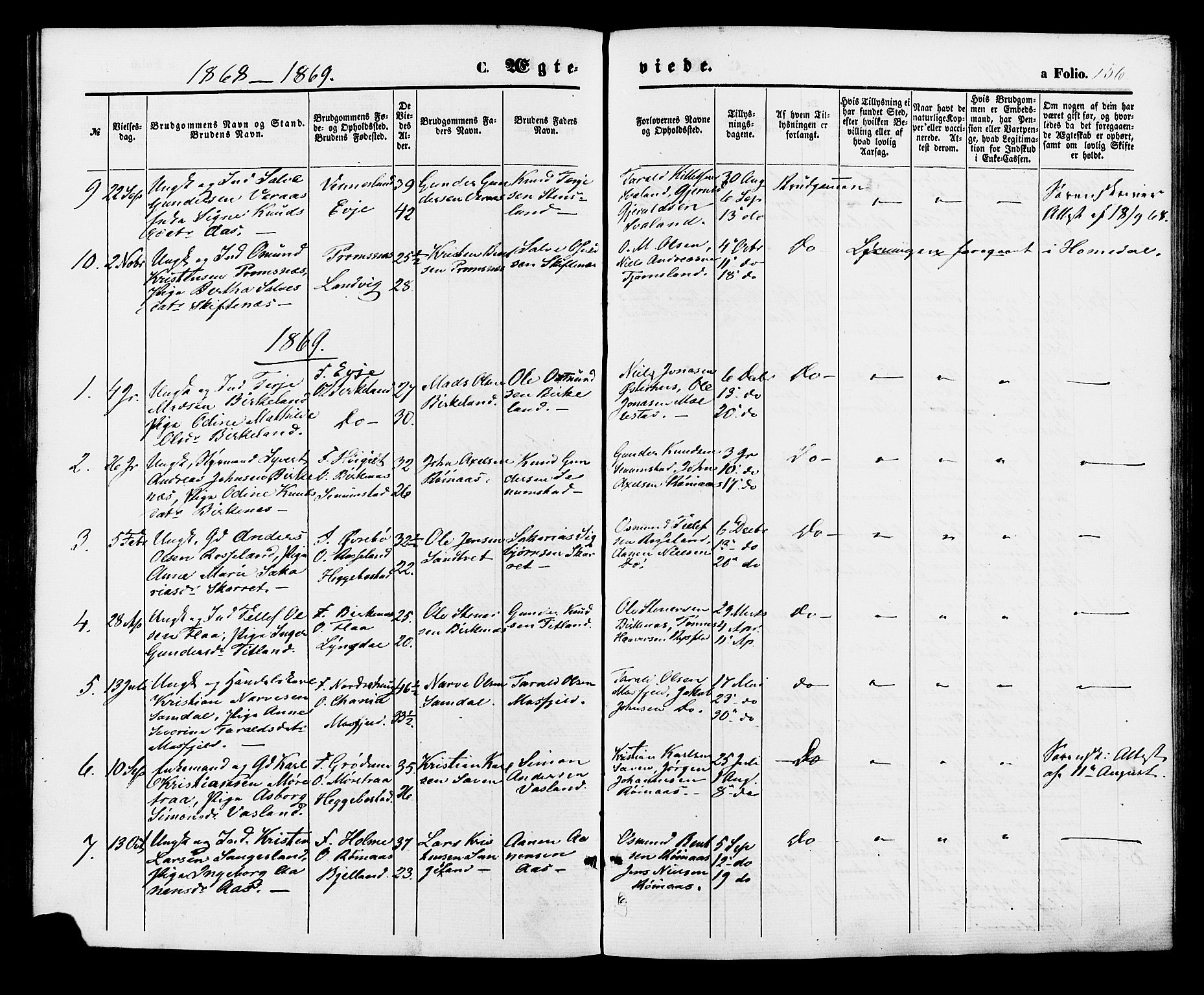 Birkenes sokneprestkontor, AV/SAK-1111-0004/F/Fa/L0004: Parish register (official) no. A 4, 1867-1886, p. 156