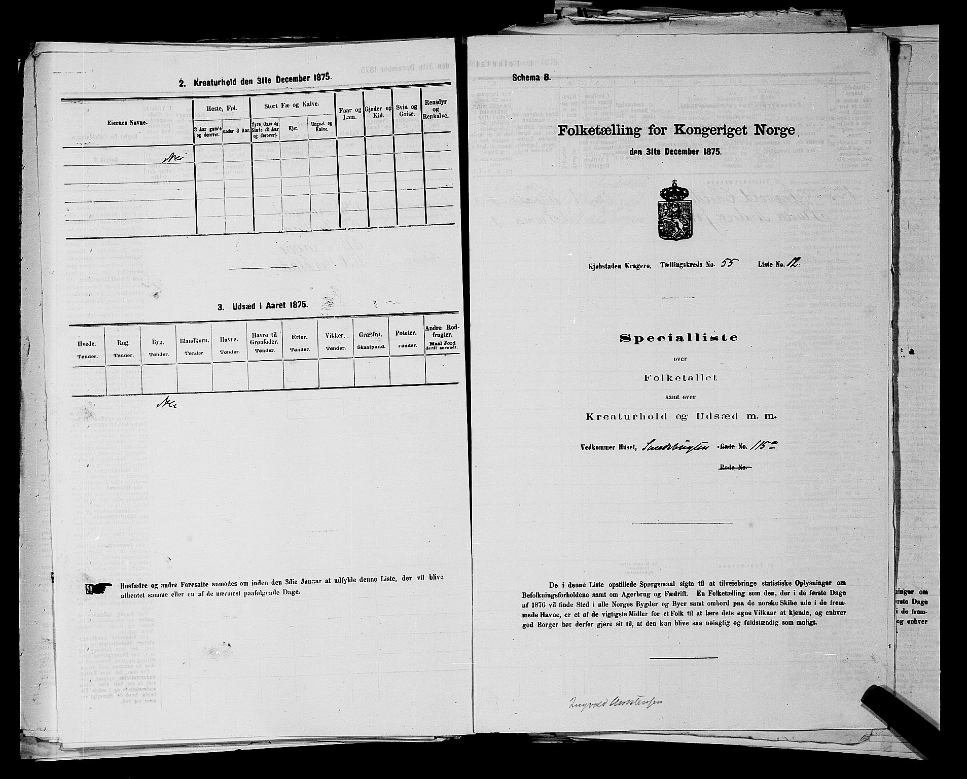 SAKO, 1875 census for 0801P Kragerø, 1875, p. 1231