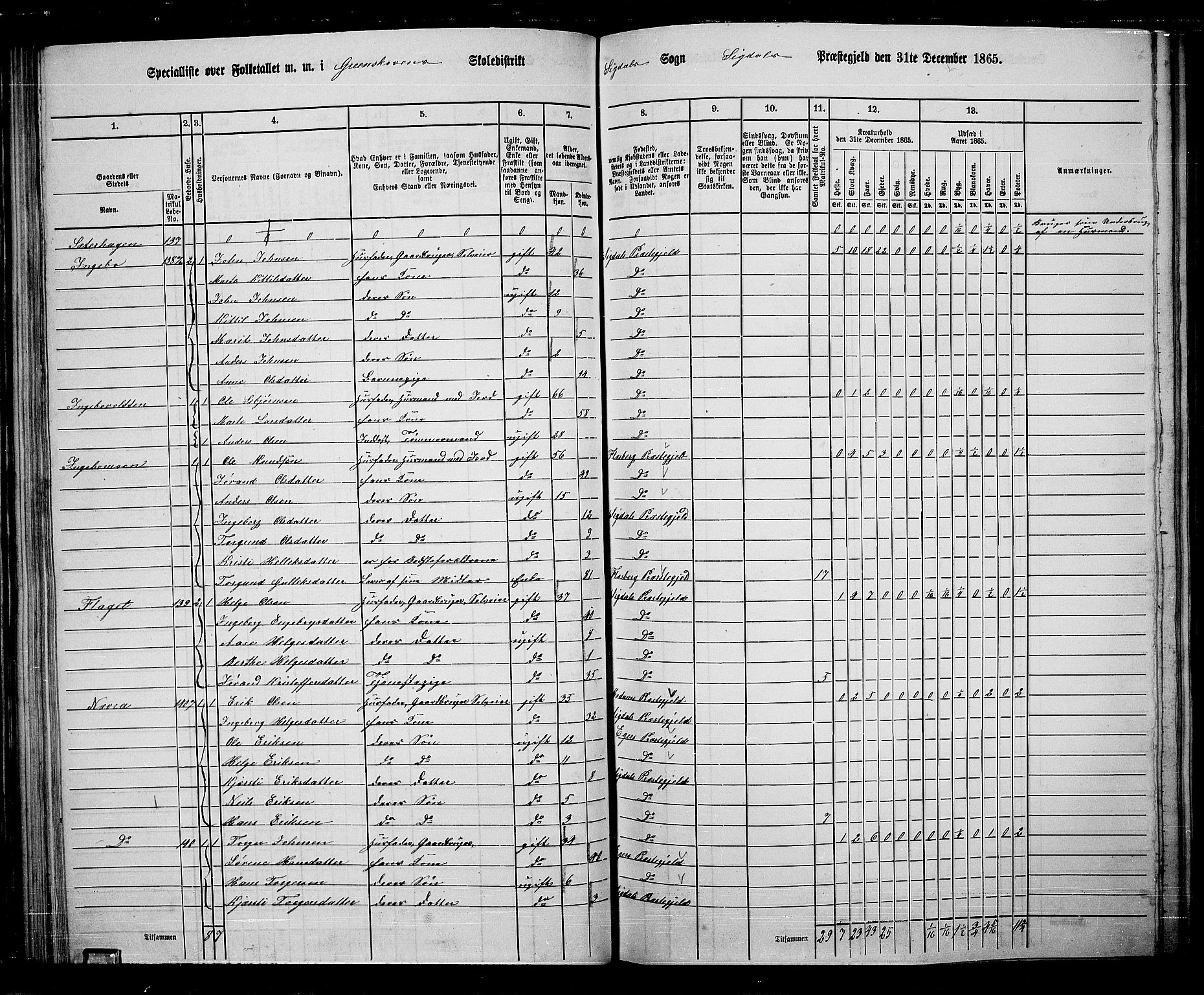 RA, 1865 census for Sigdal, 1865, p. 101