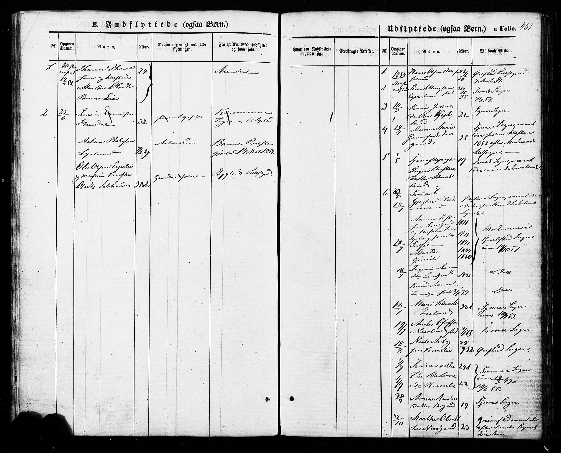 Åseral sokneprestkontor, SAK/1111-0051/F/Fa/L0002: Parish register (official) no. A 2, 1854-1884, p. 461
