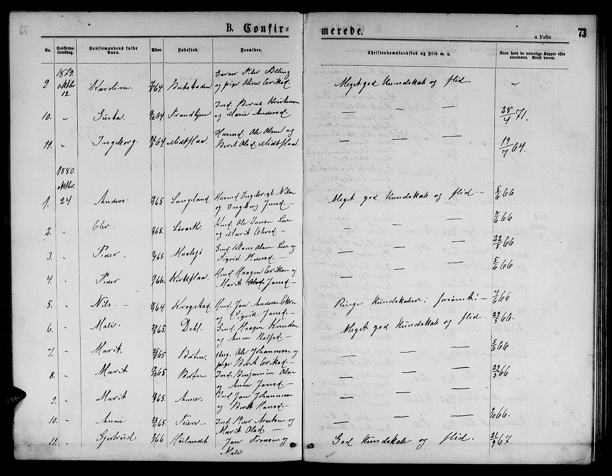 Ministerialprotokoller, klokkerbøker og fødselsregistre - Sør-Trøndelag, SAT/A-1456/693/L1122: Parish register (copy) no. 693C03, 1870-1886, p. 73