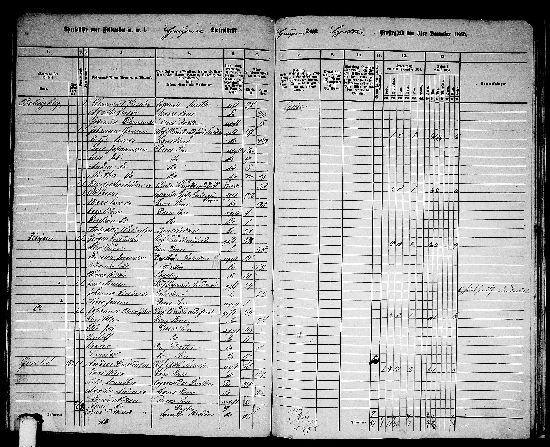 RA, 1865 census for Luster, 1865, p. 151