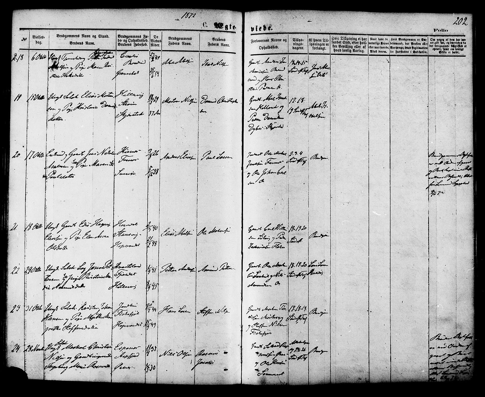 Ministerialprotokoller, klokkerbøker og fødselsregistre - Nordland, AV/SAT-A-1459/853/L0771: Parish register (official) no. 853A10, 1870-1881, p. 202