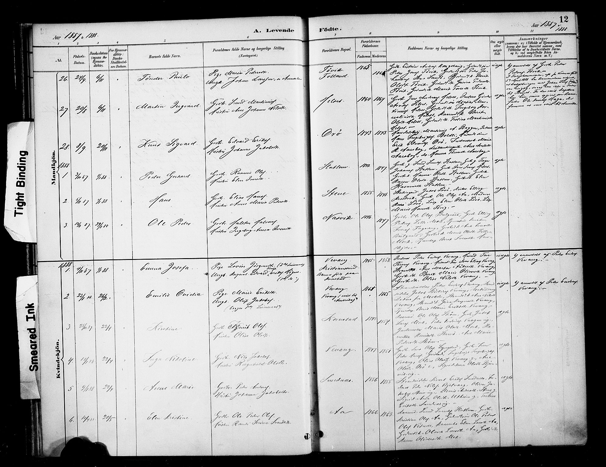 Ministerialprotokoller, klokkerbøker og fødselsregistre - Møre og Romsdal, SAT/A-1454/570/L0832: Parish register (official) no. 570A06, 1885-1900, p. 12