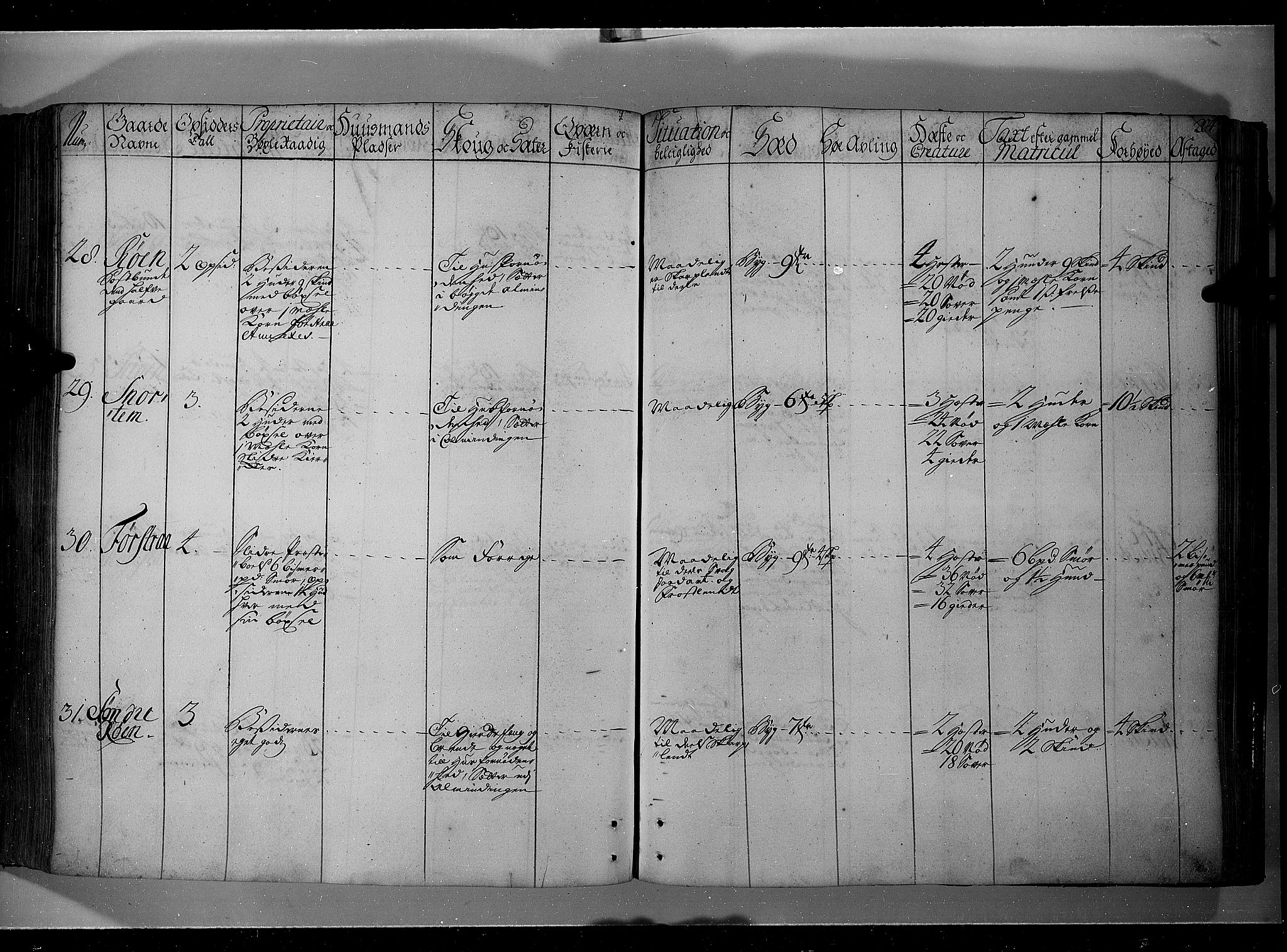 Rentekammeret inntil 1814, Realistisk ordnet avdeling, AV/RA-EA-4070/N/Nb/Nbf/L0104: Hadeland, Toten og Valdres eksaminasjonsprotokoll, 1723, p. 202b-203a