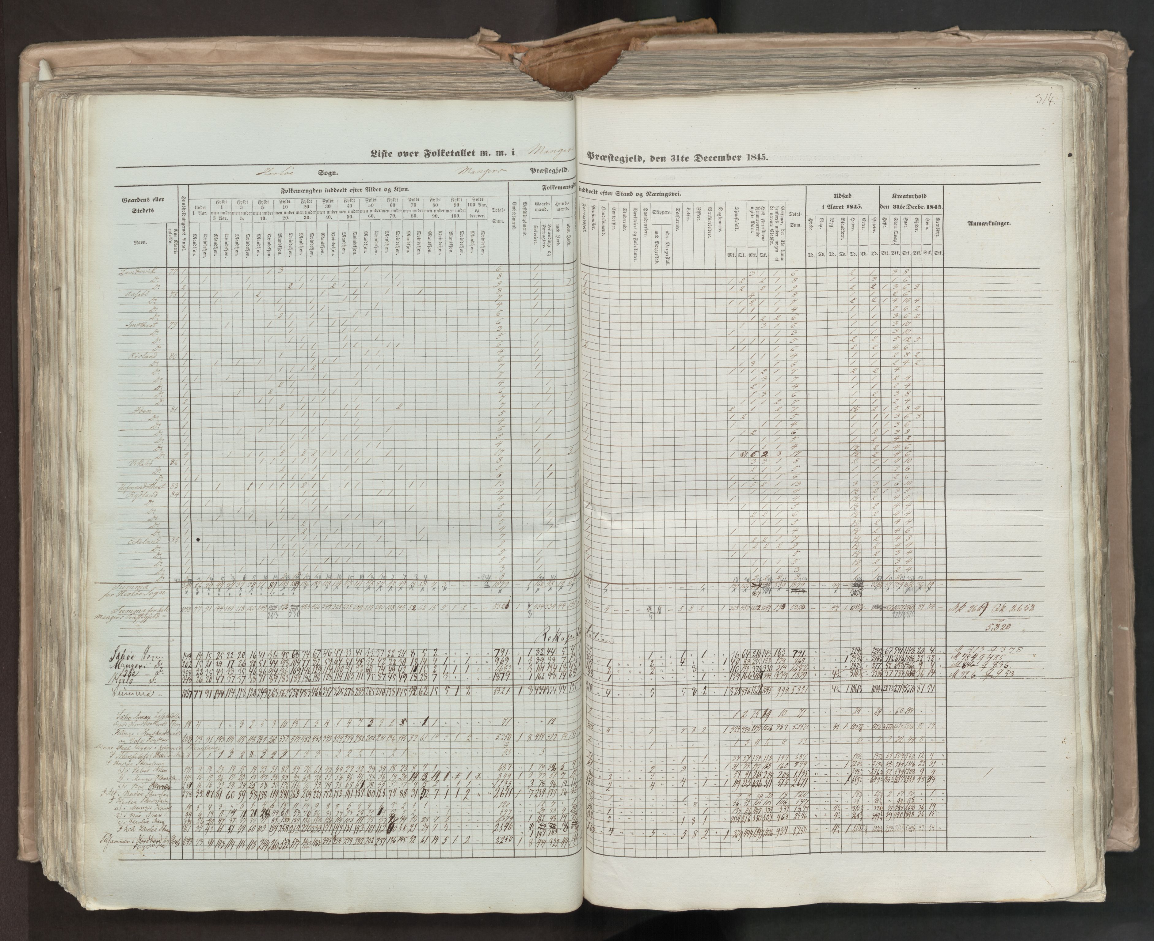 RA, Census 1845, vol. 7: Søndre Bergenhus amt og Nordre Bergenhus amt, 1845, p. 314