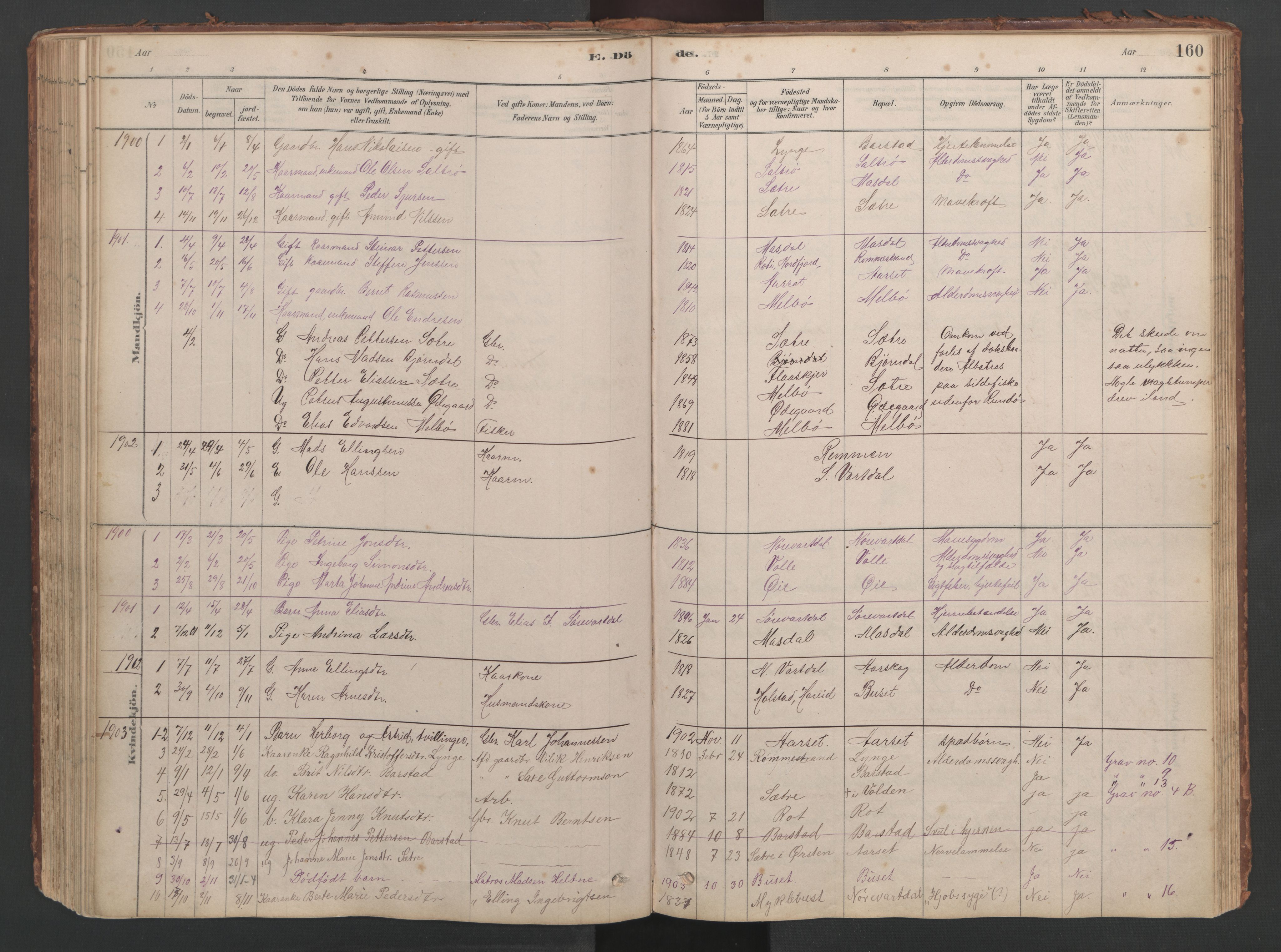 Ministerialprotokoller, klokkerbøker og fødselsregistre - Møre og Romsdal, SAT/A-1454/514/L0201: Parish register (copy) no. 514C01, 1878-1919, p. 160