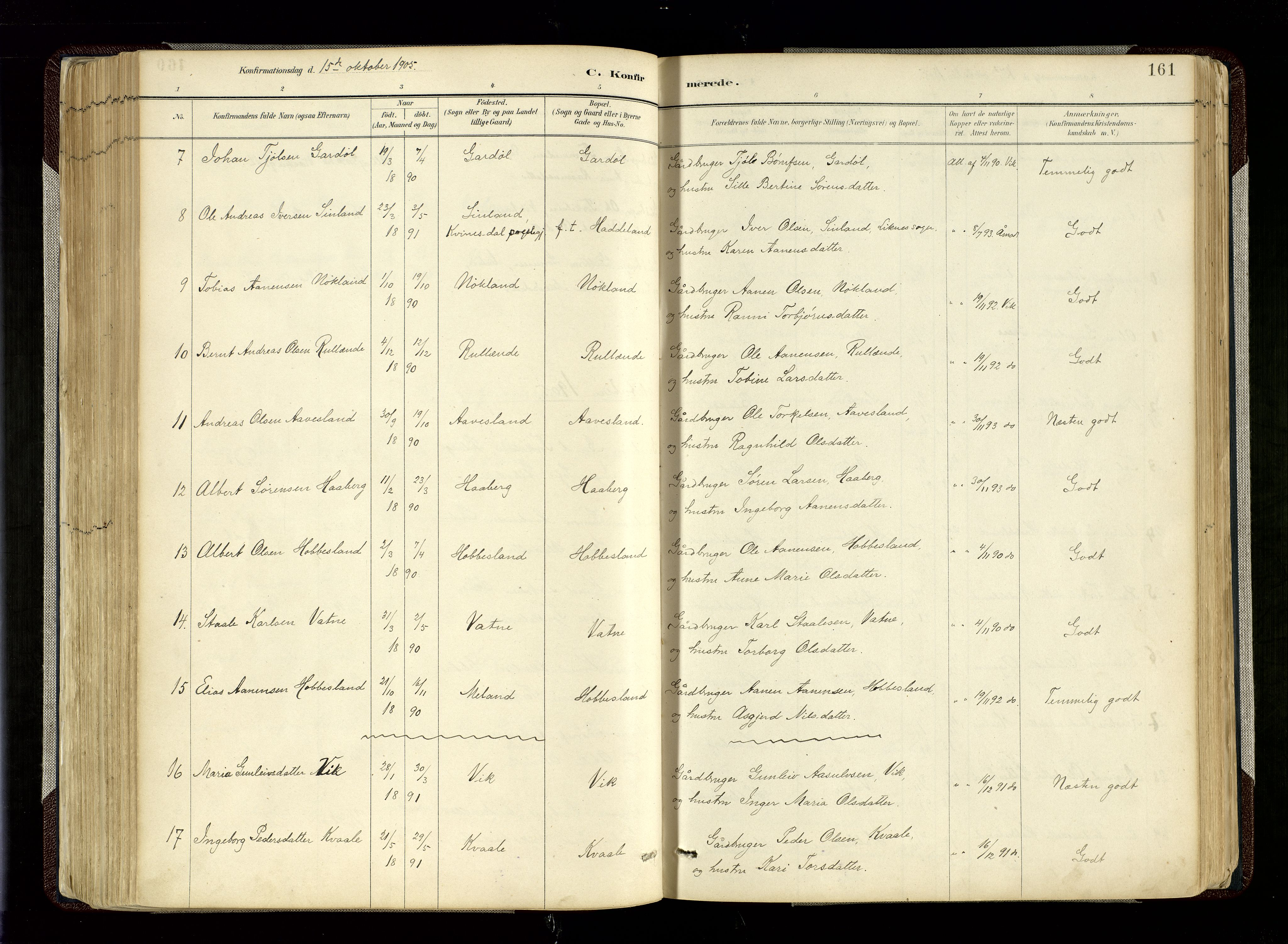 Hægebostad sokneprestkontor, SAK/1111-0024/F/Fa/Fab/L0004: Parish register (official) no. A 4, 1887-1929, p. 161