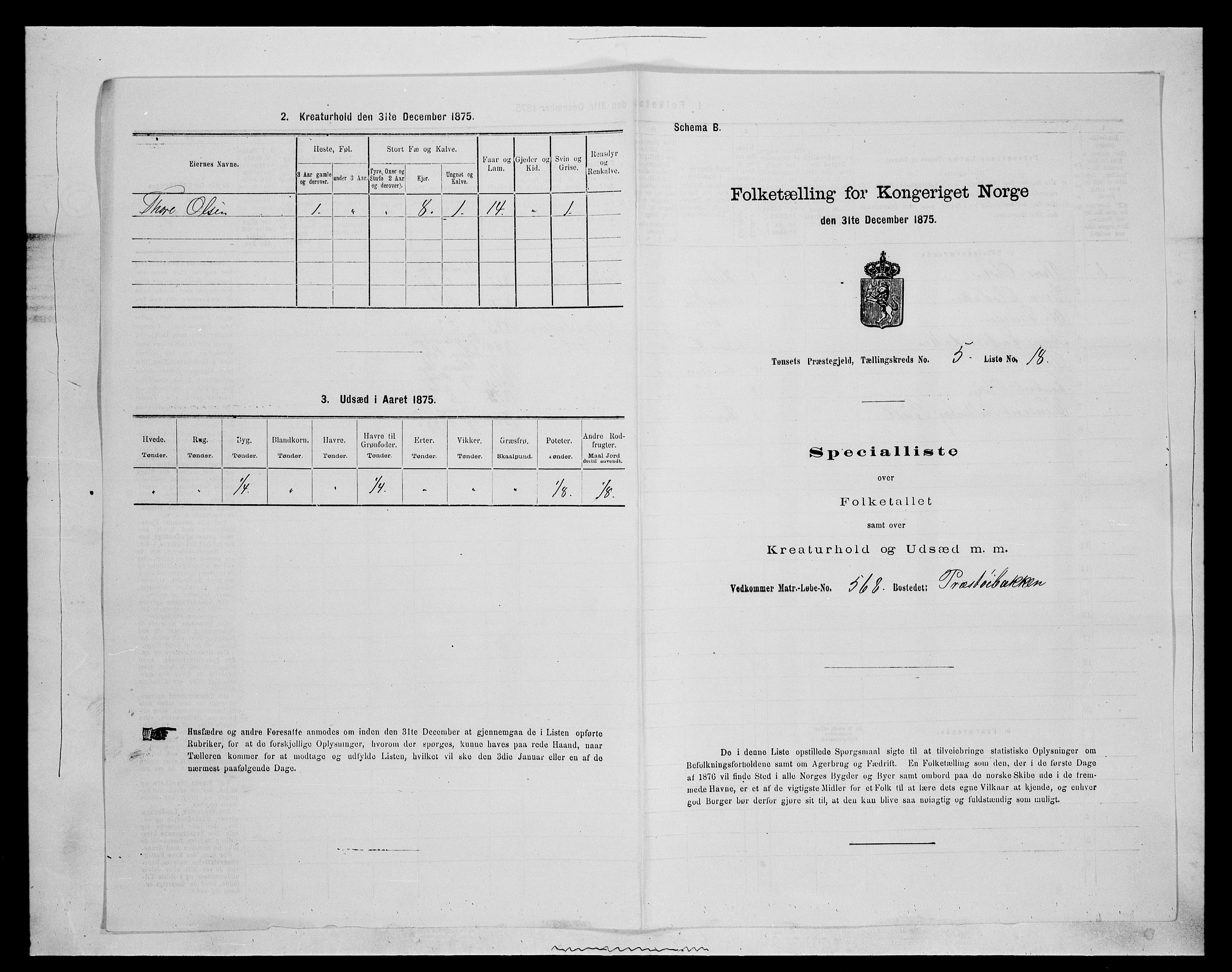 SAH, 1875 census for 0437P Tynset, 1875, p. 599