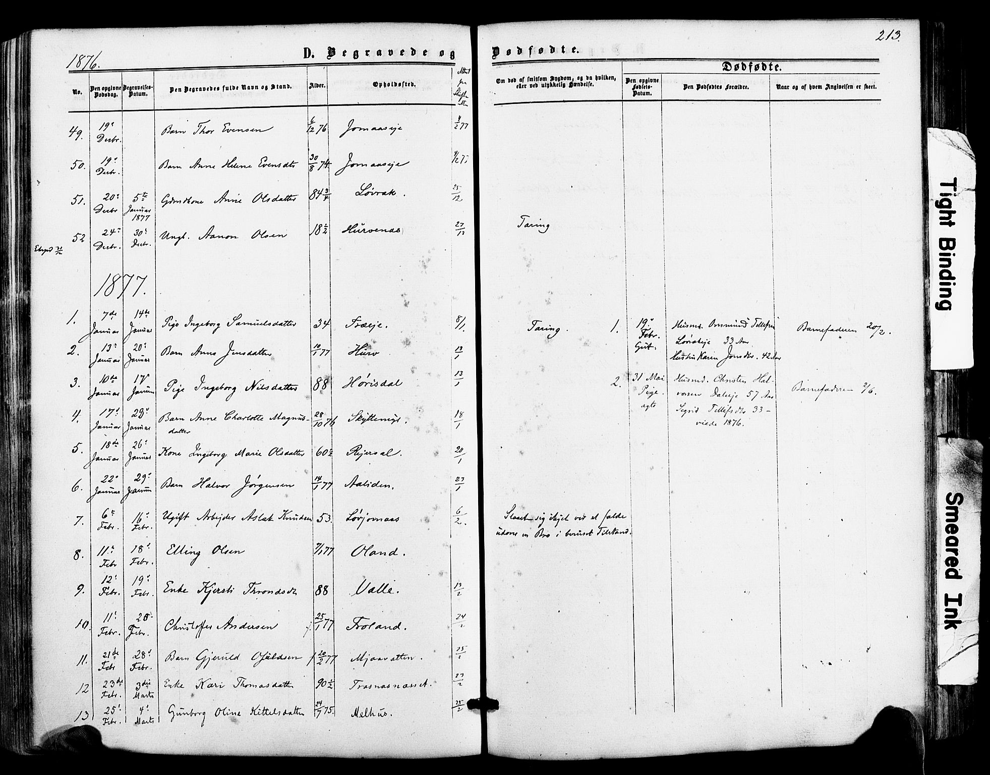 Froland sokneprestkontor, SAK/1111-0013/F/Fa/L0003: Parish register (official) no. A 3, 1864-1881, p. 213