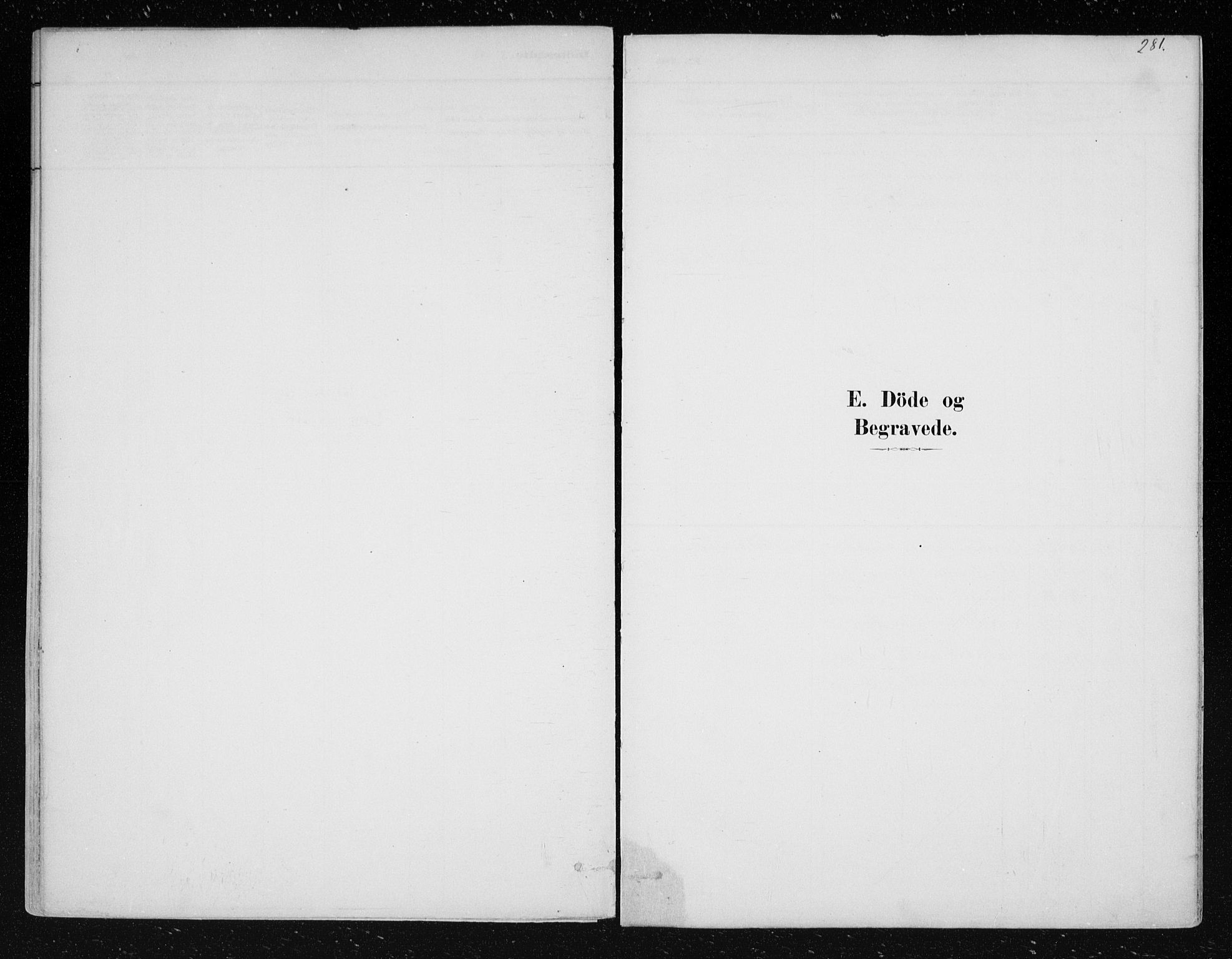 Nes kirkebøker, SAKO/A-236/F/Fa/L0012: Parish register (official) no. 12, 1881-1917, p. 281