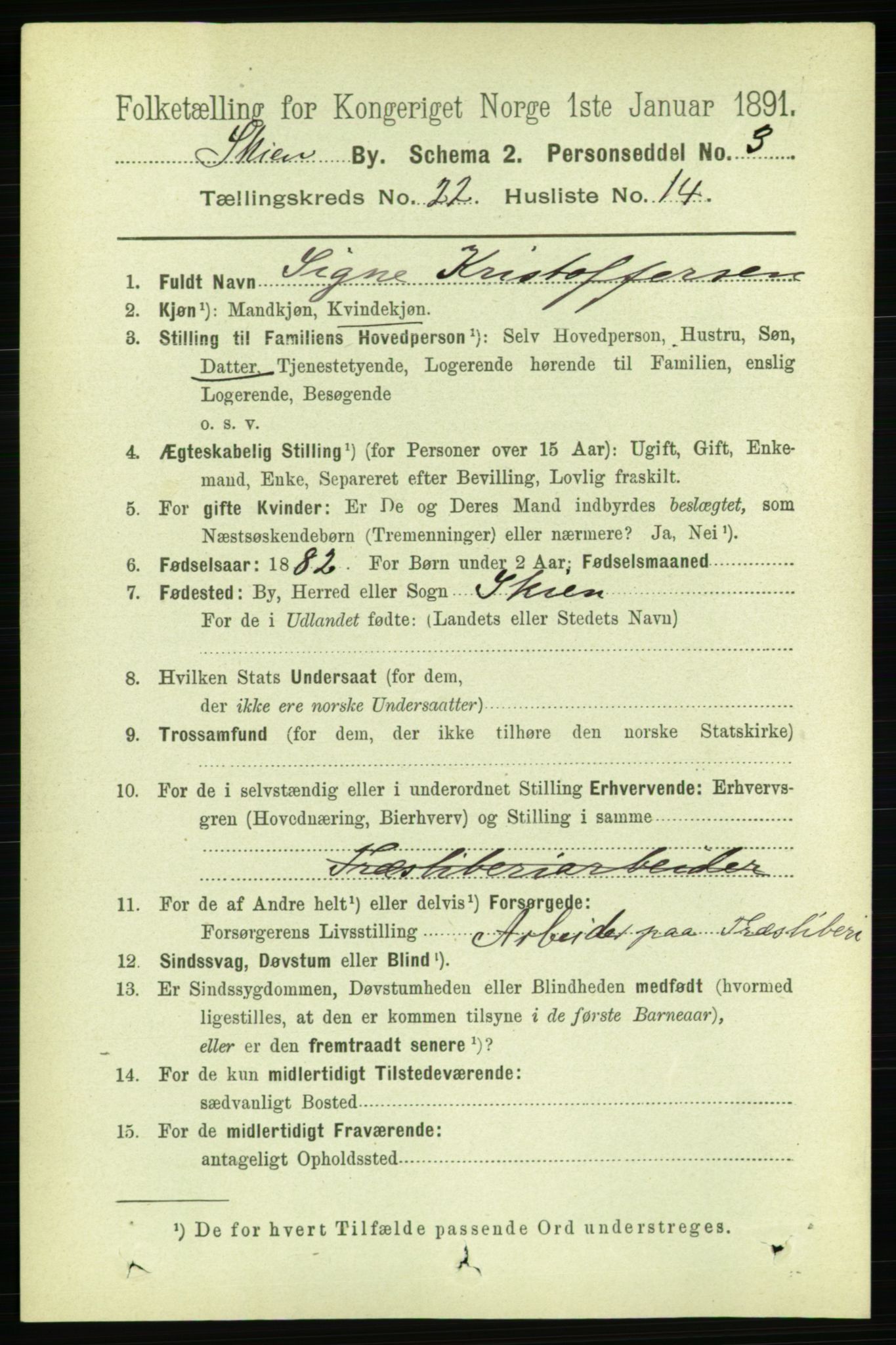 RA, 1891 census for 0806 Skien, 1891, p. 5809