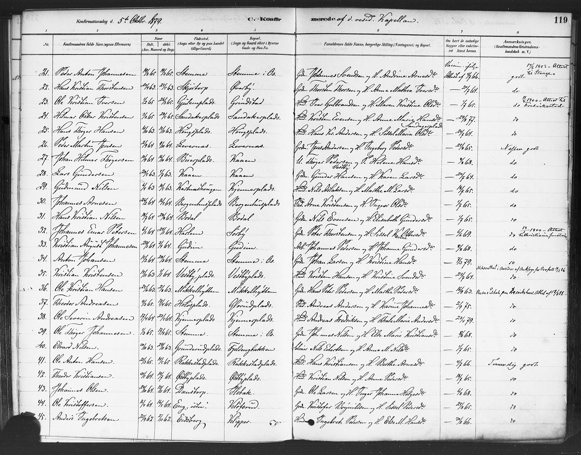 Rakkestad prestekontor Kirkebøker, AV/SAO-A-2008/F/Fa/L0012: Parish register (official) no. I 12, 1878-1893, p. 119