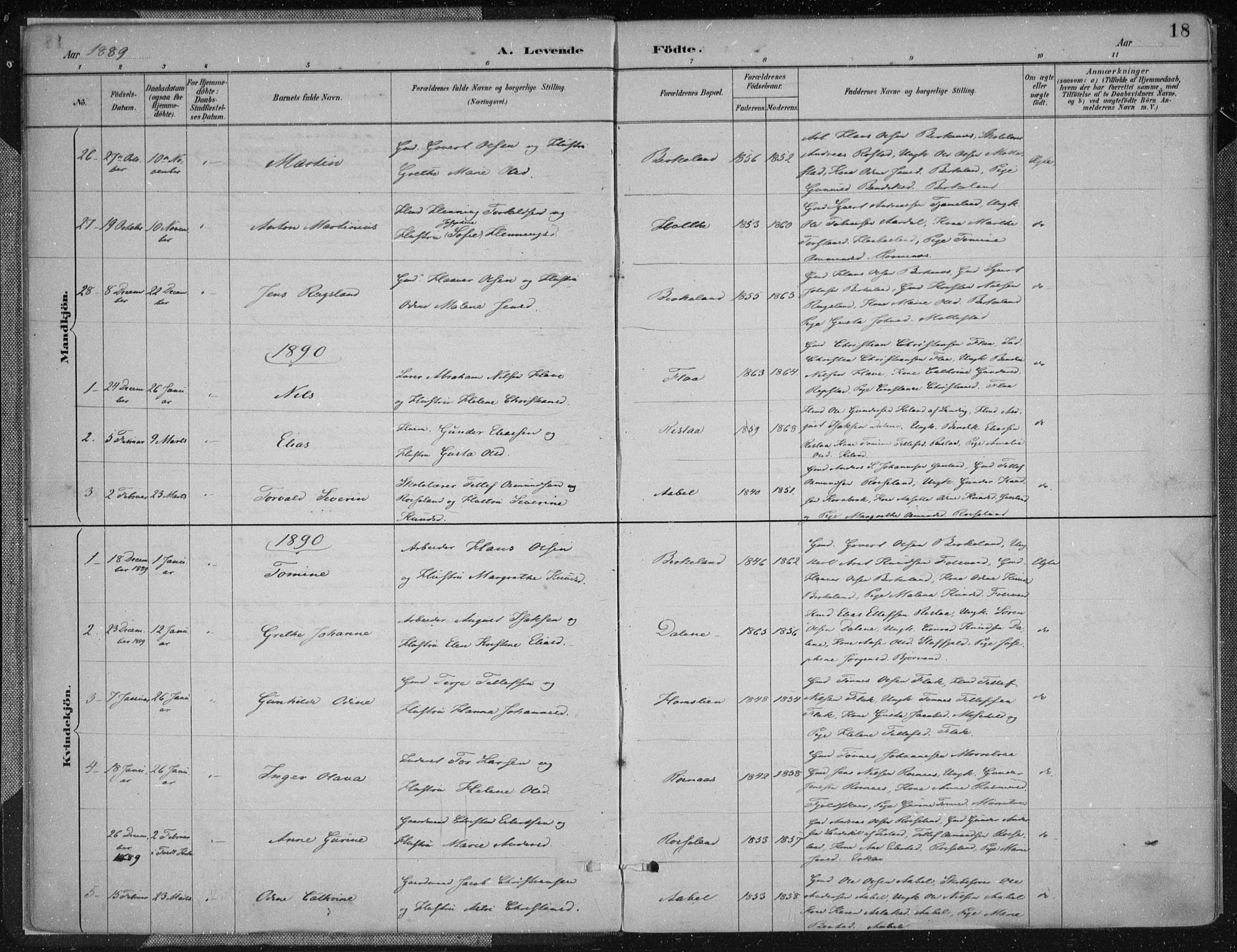Birkenes sokneprestkontor, SAK/1111-0004/F/Fa/L0005: Parish register (official) no. A 5, 1887-1907, p. 18