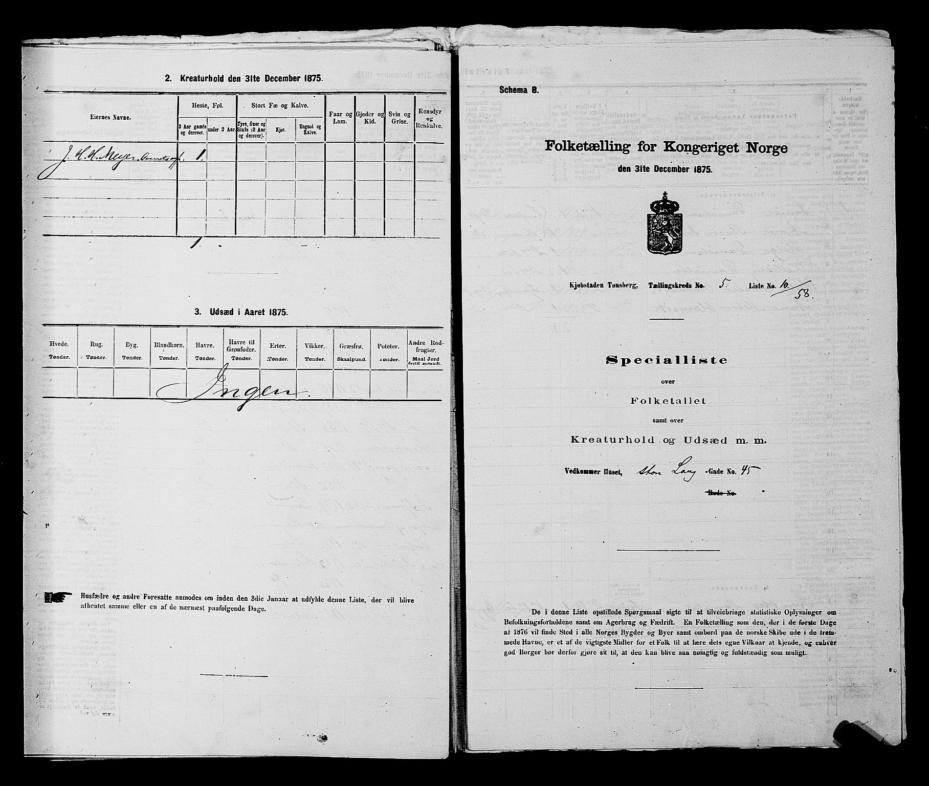 SAKO, 1875 census for 0705P Tønsberg, 1875, p. 161