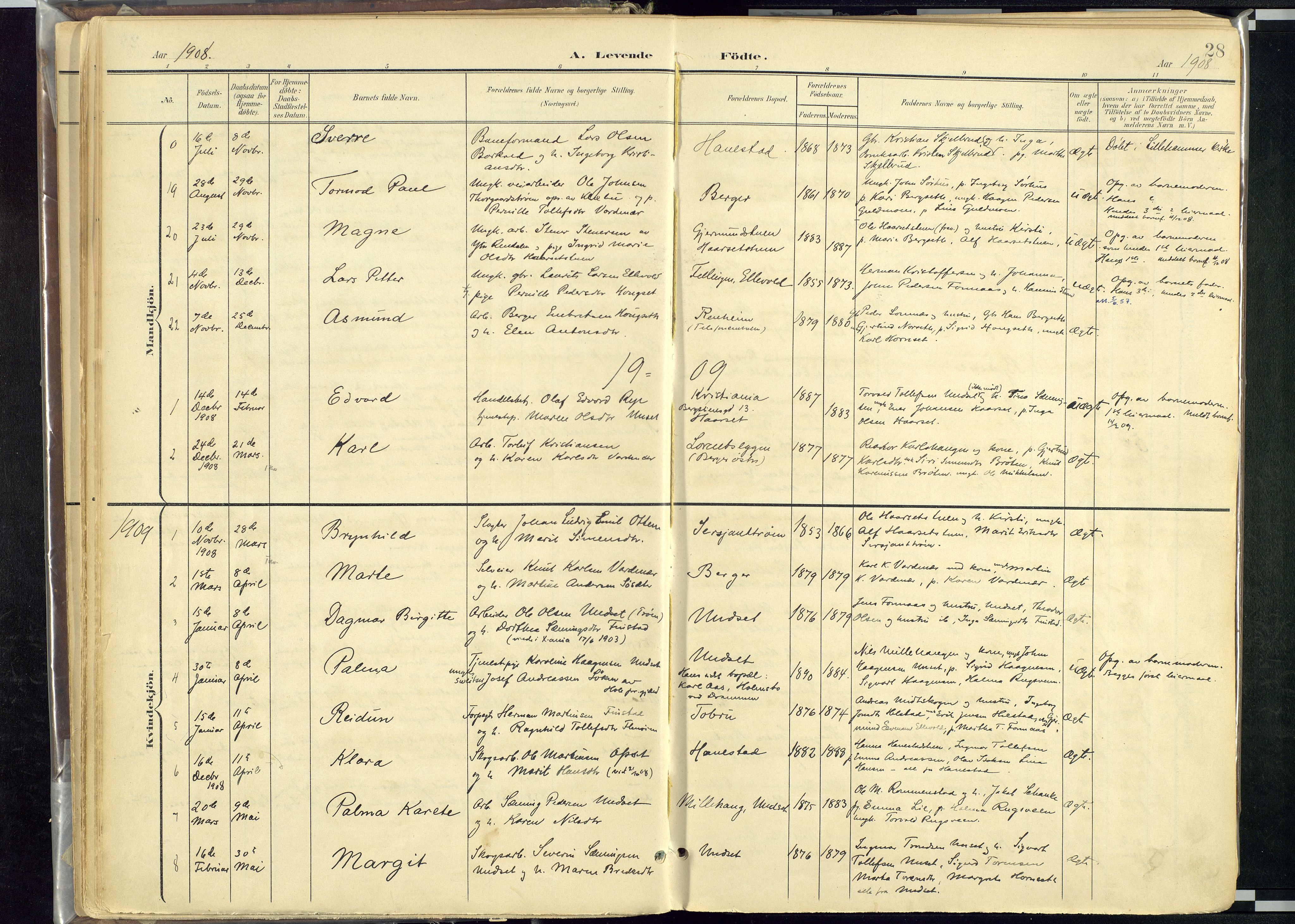 Rendalen prestekontor, SAH/PREST-054/H/Ha/Haa/L0012: Parish register (official) no. 12, 1901-1928, p. 28
