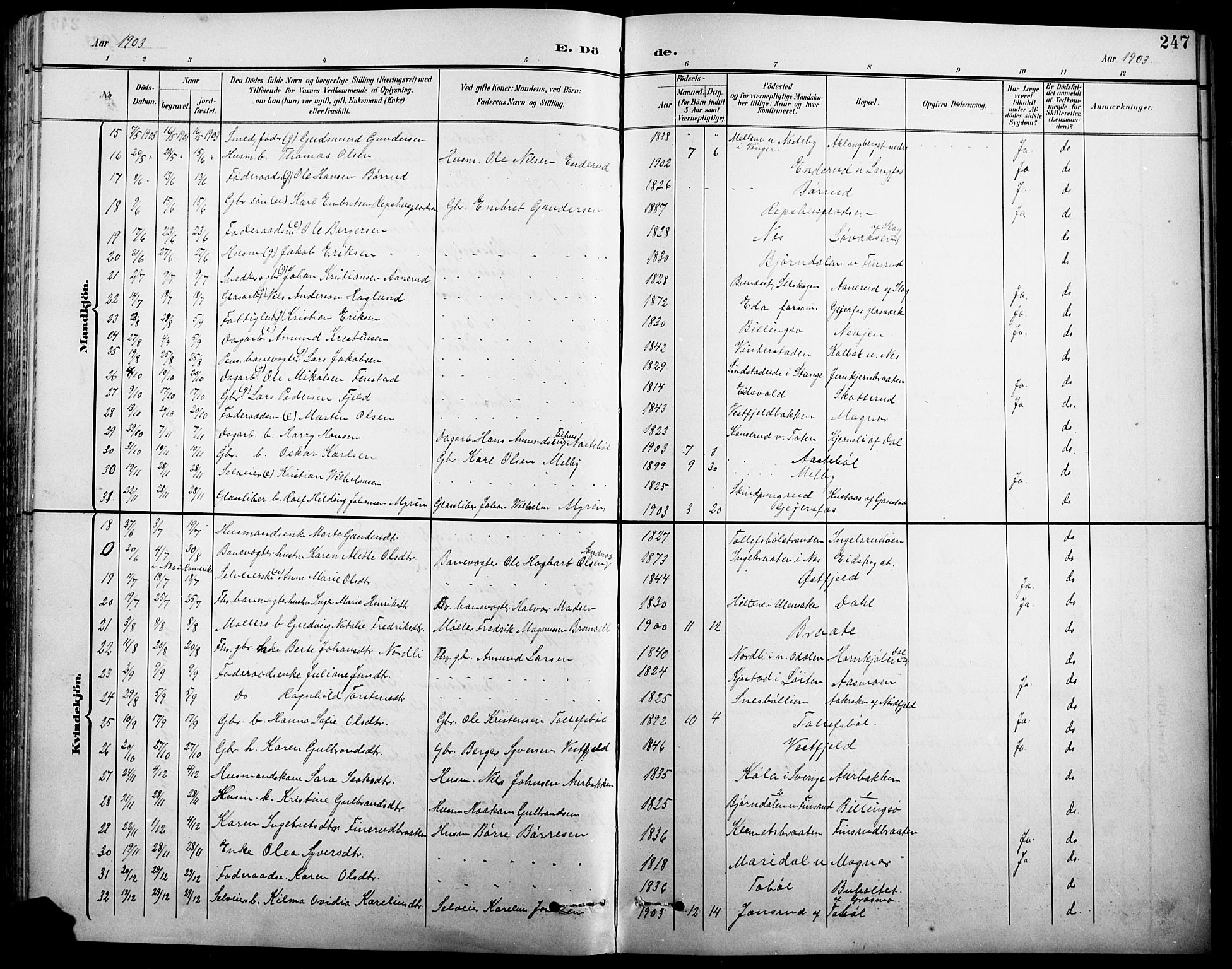 Eidskog prestekontor, AV/SAH-PREST-026/H/Ha/Hab/L0001: Parish register (copy) no. 1, 1895-1917, p. 247