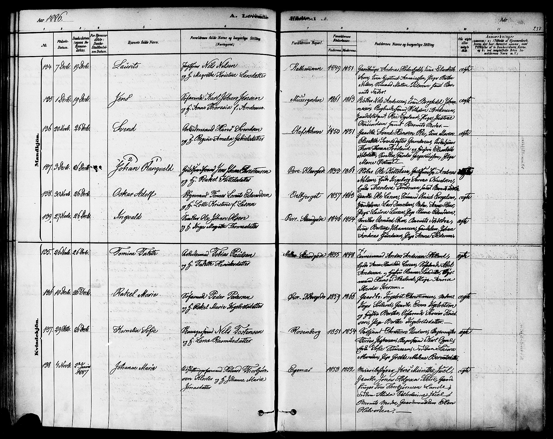 Domkirken sokneprestkontor, AV/SAST-A-101812/001/30/30BA/L0026: Parish register (official) no. A 25, 1878-1889, p. 238