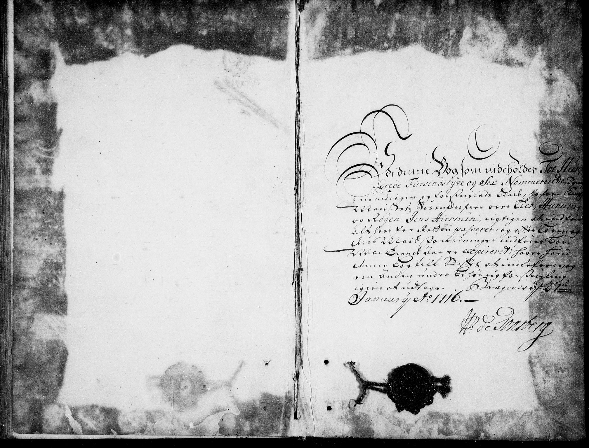 Lier, Røyken og Hurum sorenskriveri, SAKO/A-89/F/Fa/L0044: Tingbok, 1716-1721