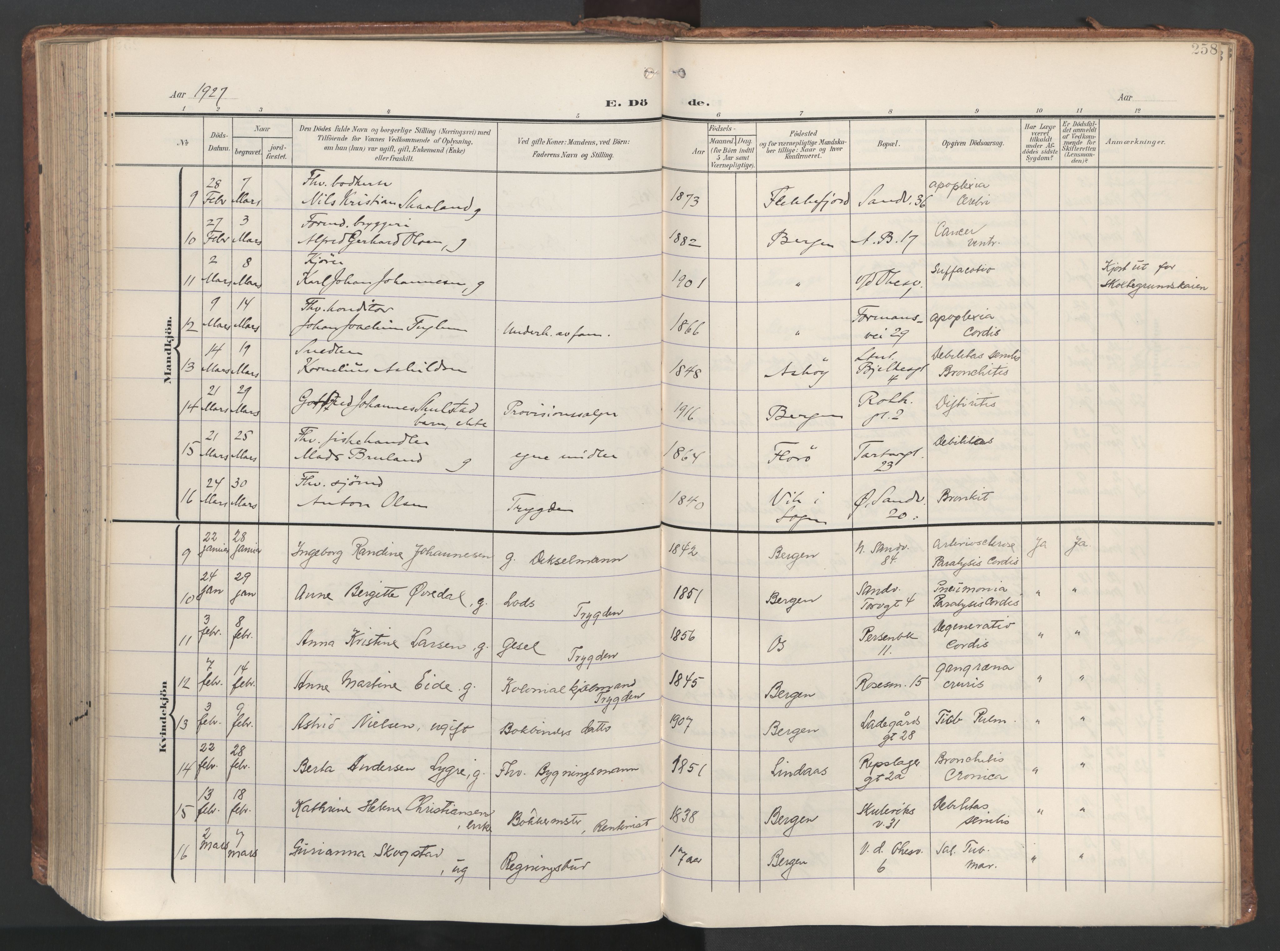 Sandviken Sokneprestembete, SAB/A-77601/H/Ha/L0019: Parish register (official) no. E 2, 1905-1933, p. 258