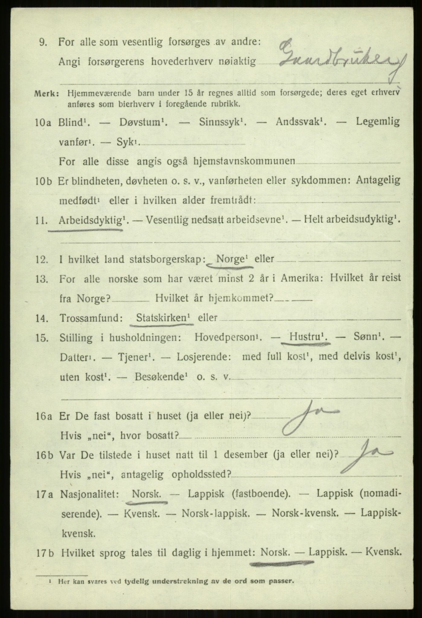 SATØ, 1920 census for Tromsøysund, 1920, p. 6233