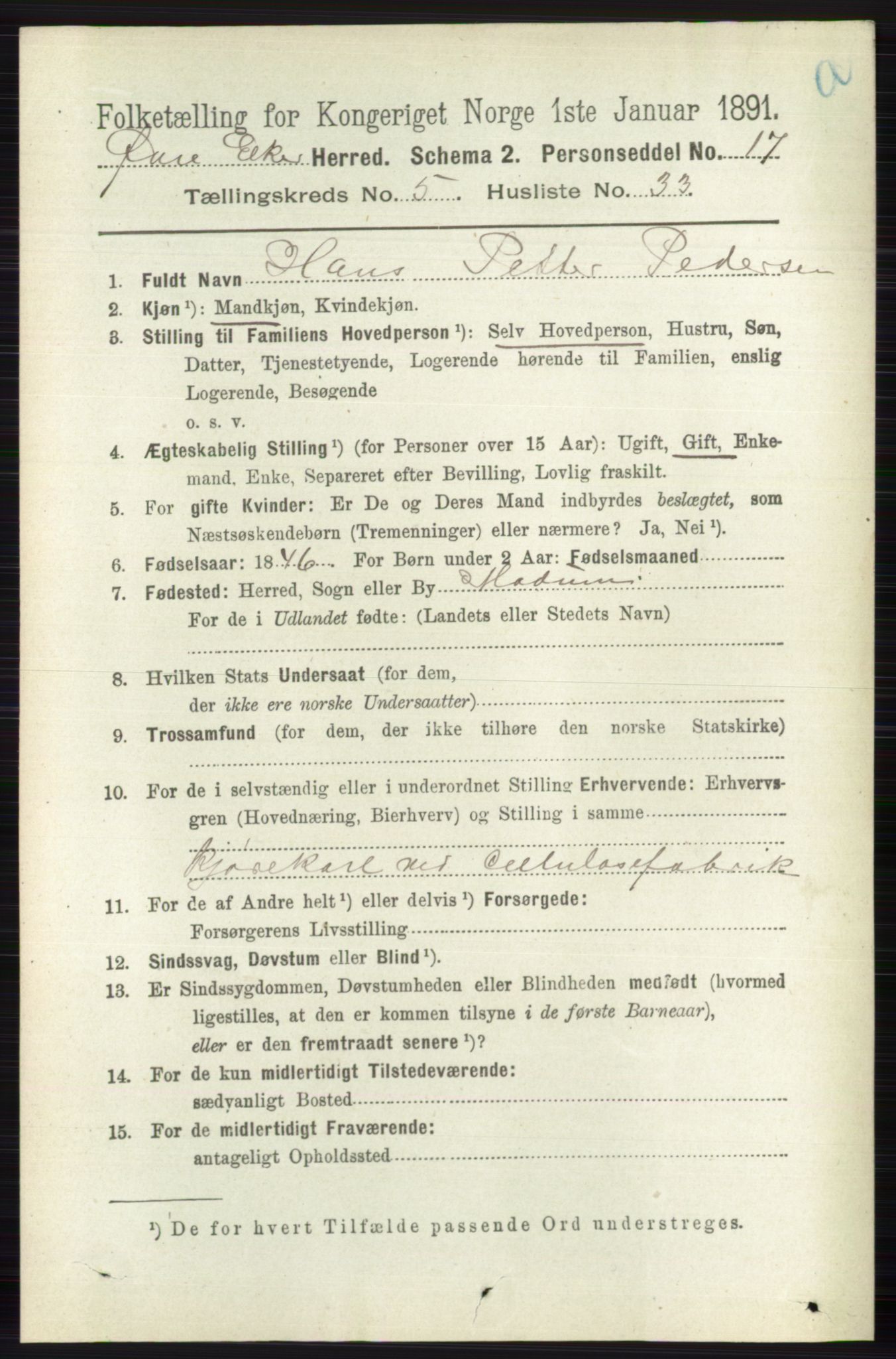 RA, 1891 census for 0624 Øvre Eiker, 1891, p. 1994