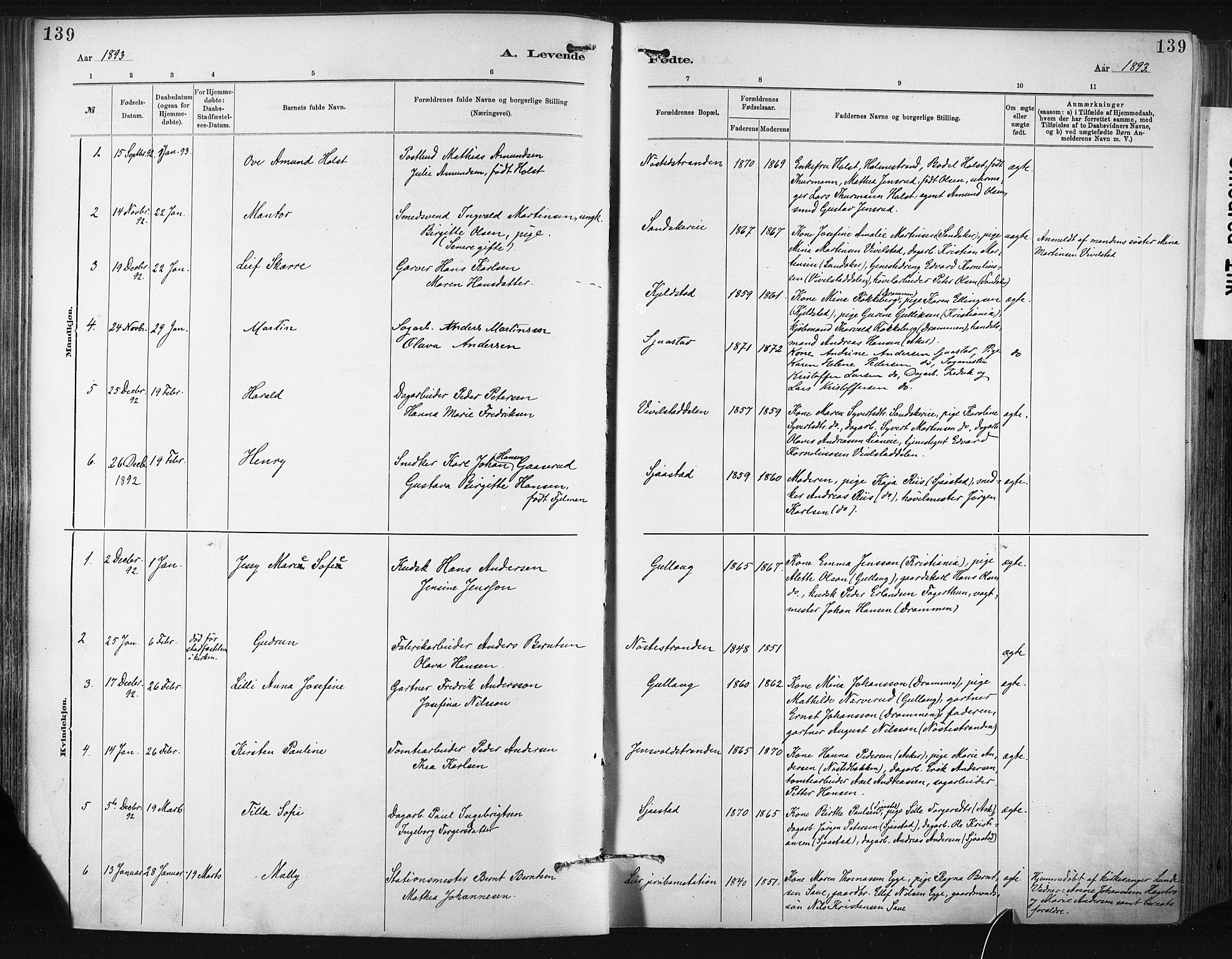 Lier kirkebøker, SAKO/A-230/F/Fa/L0015: Parish register (official) no. I 15, 1883-1894, p. 139