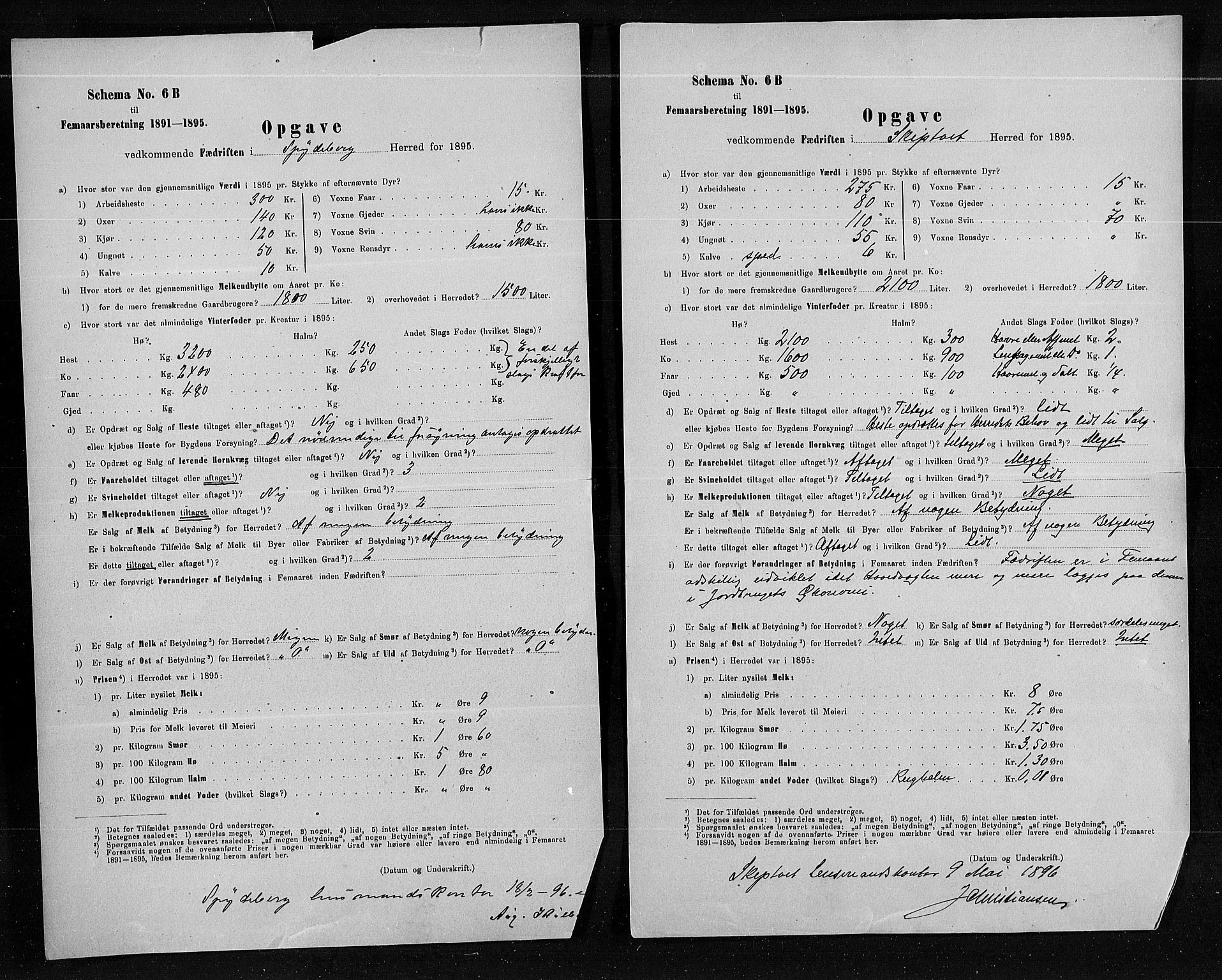 Statistisk sentralbyrå, Næringsøkonomiske emner, Generelt - Amtmennenes femårsberetninger, AV/RA-S-2233/F/Fa/L0080: --, 1895, p. 3