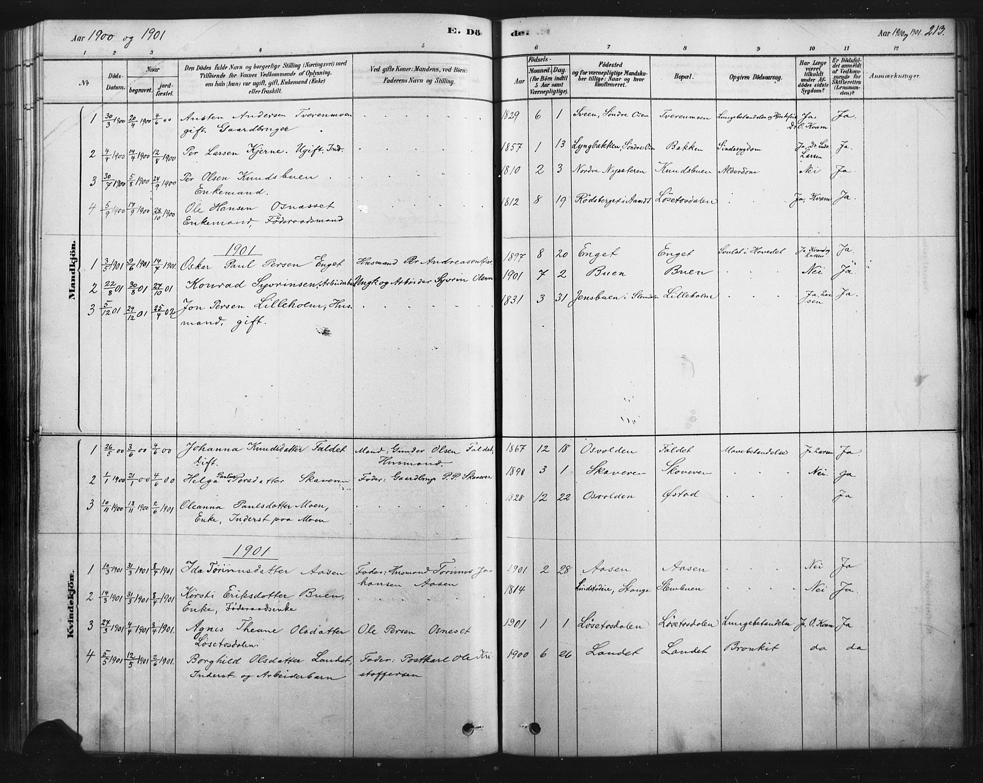 Åmot prestekontor, Hedmark, SAH/PREST-056/H/Ha/Haa/L0012: Parish register (official) no. 12, 1878-1901, p. 213