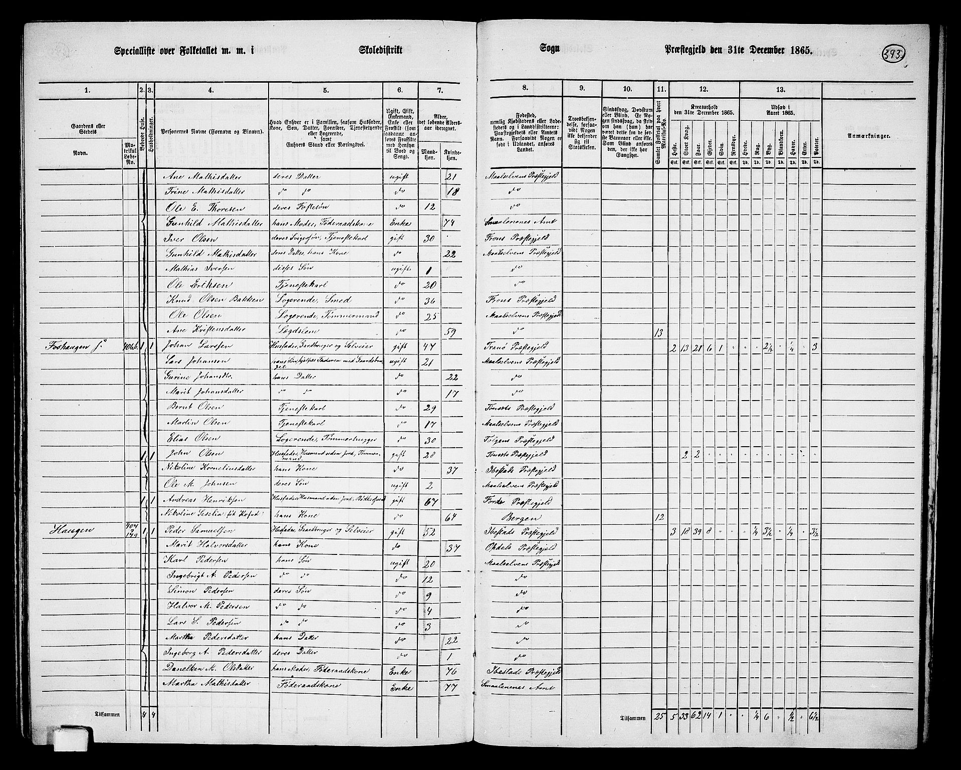 RA, 1865 census for Målselv, 1865, p. 155