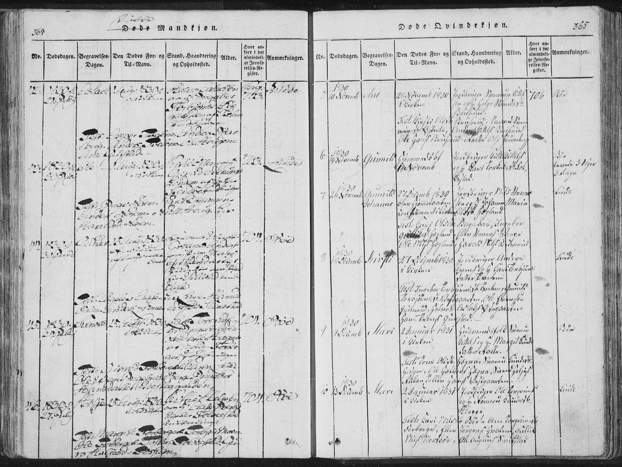 Bø kirkebøker, AV/SAKO-A-257/F/Fa/L0006: Parish register (official) no. 6, 1815-1831, p. 364-365