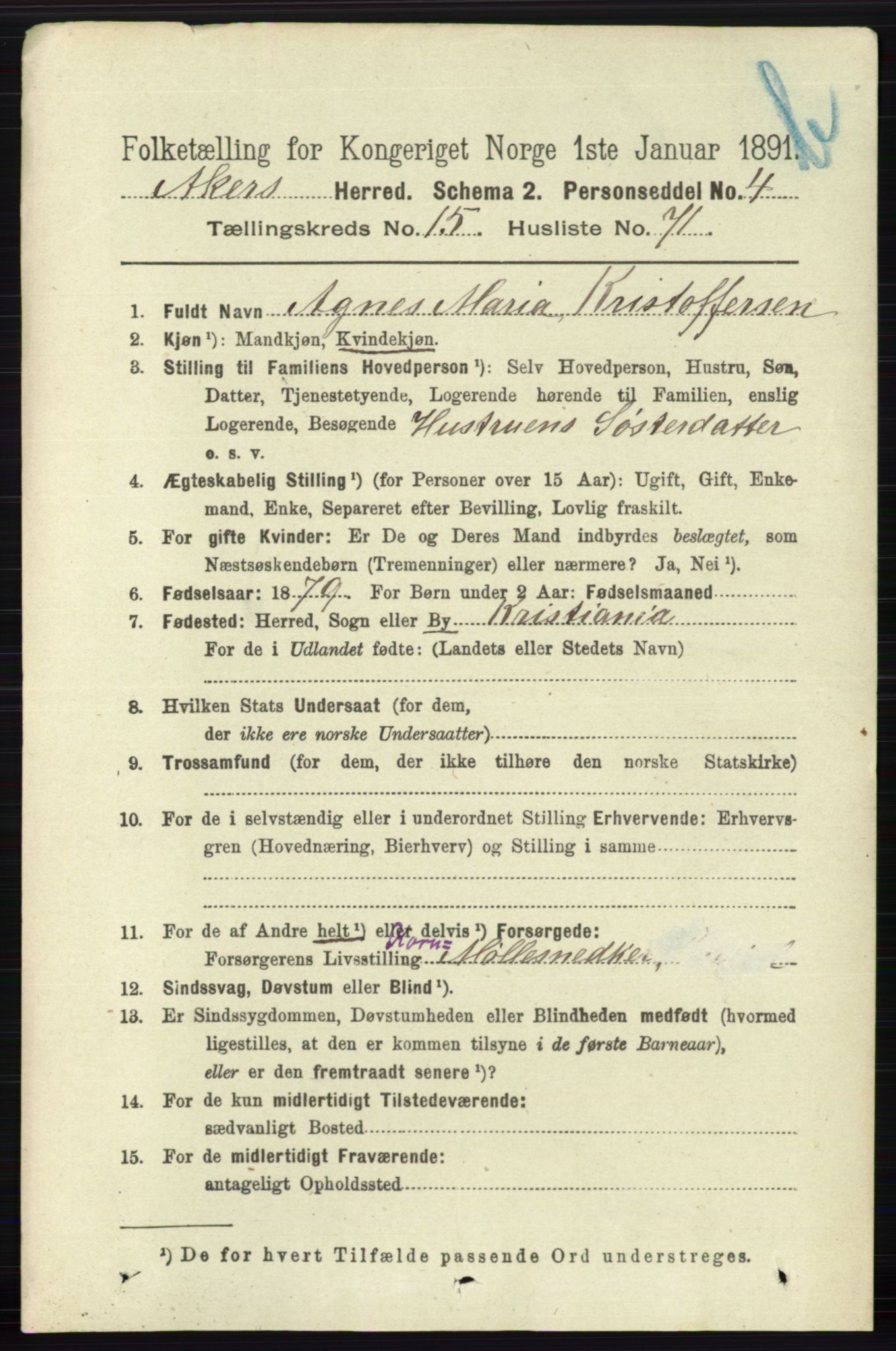 RA, 1891 census for 0218 Aker, 1891, p. 13919