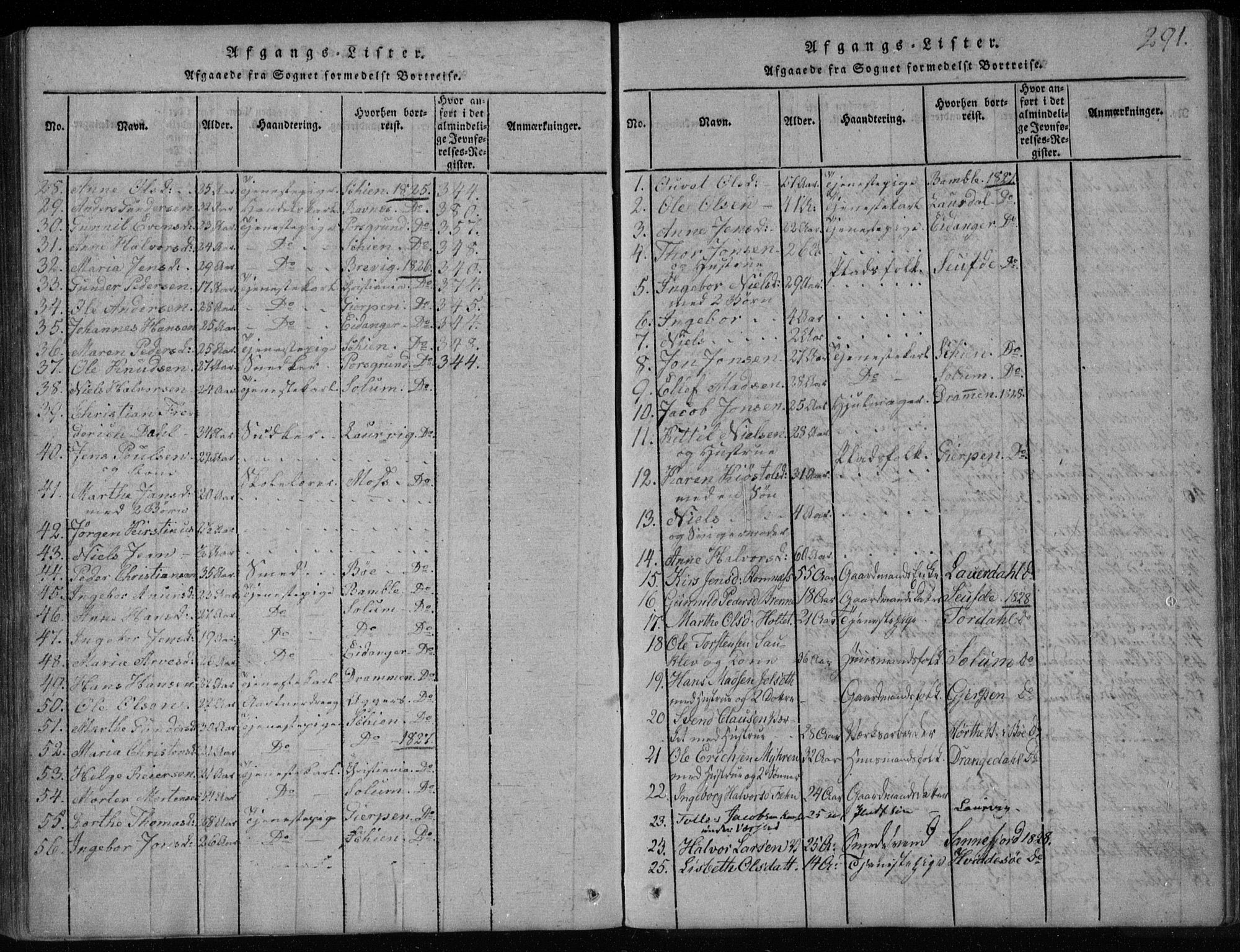 Holla kirkebøker, SAKO/A-272/F/Fa/L0003: Parish register (official) no. 3, 1815-1830, p. 291