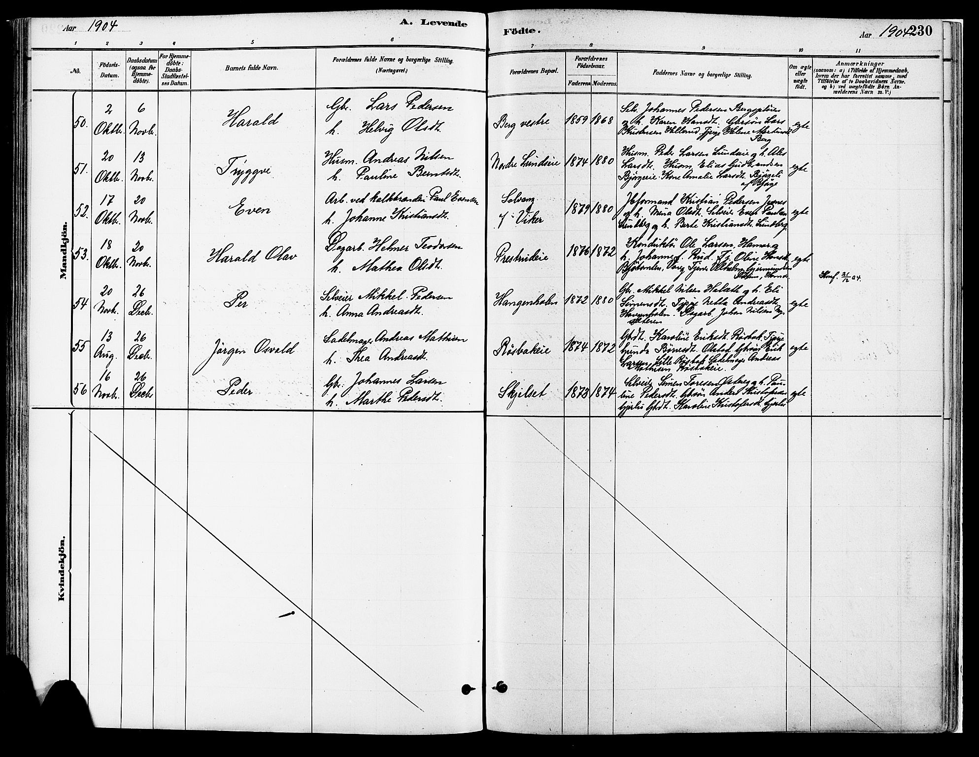 Vang prestekontor, Hedmark, SAH/PREST-008/H/Ha/Haa/L0018A: Parish register (official) no. 18A, 1880-1906, p. 230