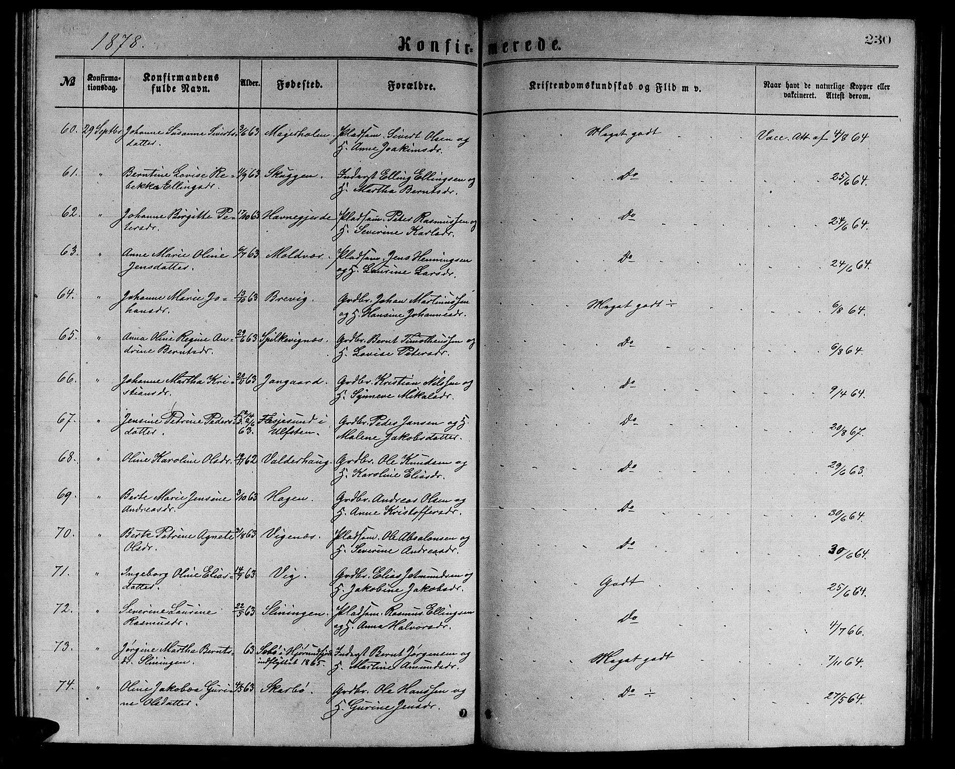 Ministerialprotokoller, klokkerbøker og fødselsregistre - Møre og Romsdal, AV/SAT-A-1454/528/L0429: Parish register (copy) no. 528C10, 1872-1886, p. 230