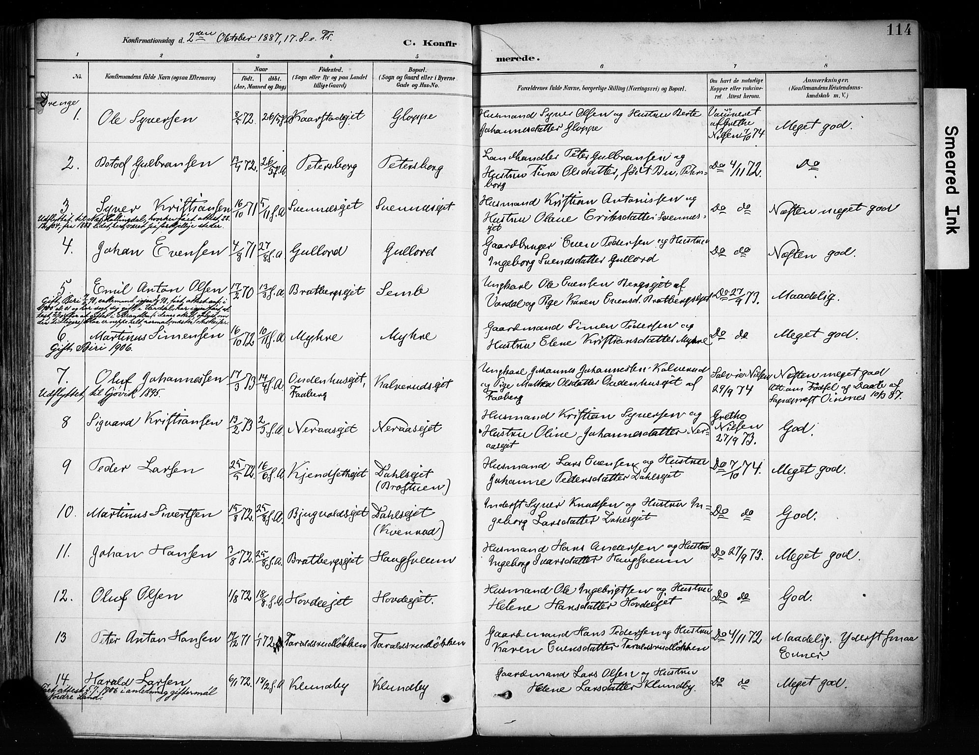 Biri prestekontor, SAH/PREST-096/H/Ha/Haa/L0009: Parish register (official) no. 9, 1887-1900, p. 114