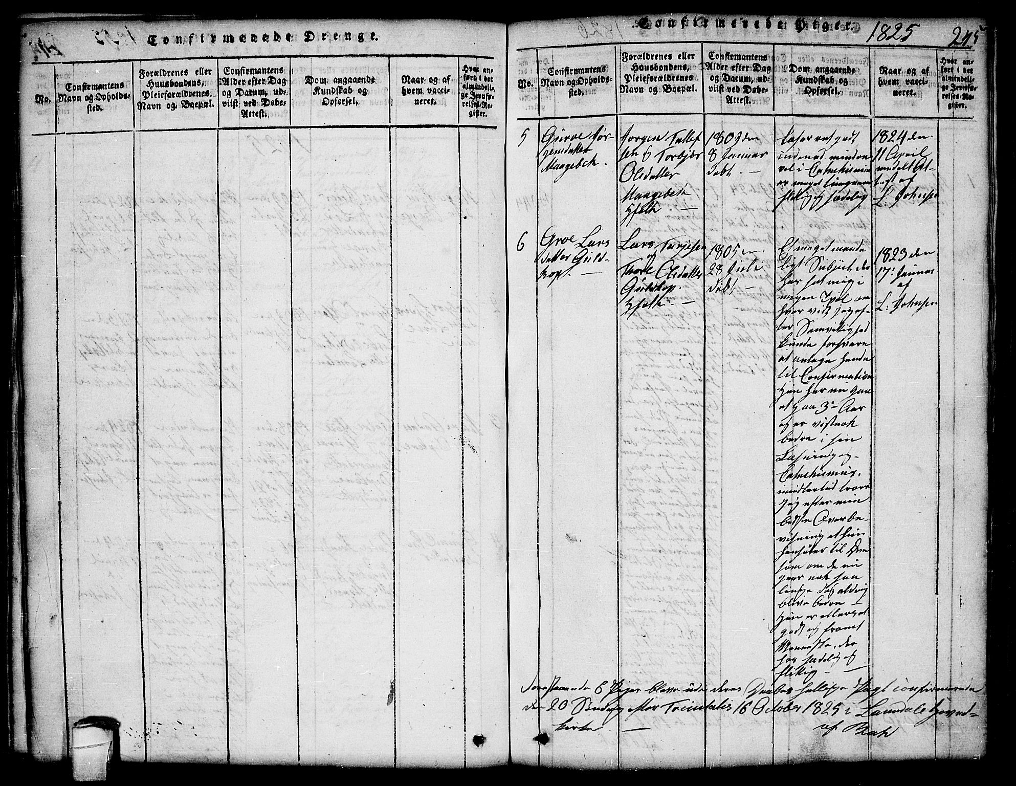 Lårdal kirkebøker, AV/SAKO-A-284/G/Ga/L0001: Parish register (copy) no. I 1, 1815-1861, p. 245