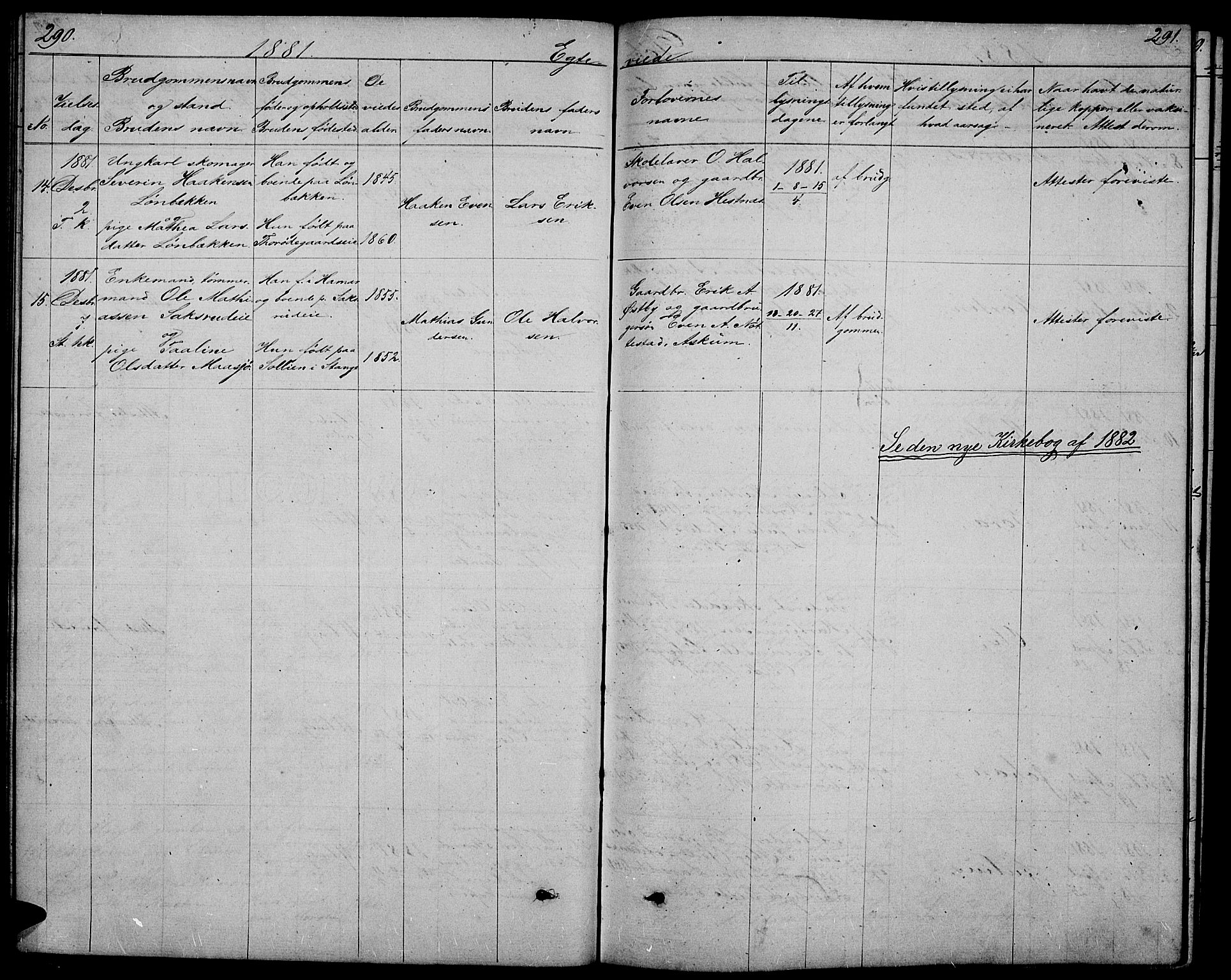 Stange prestekontor, AV/SAH-PREST-002/L/L0005: Parish register (copy) no. 5, 1861-1881, p. 290-291