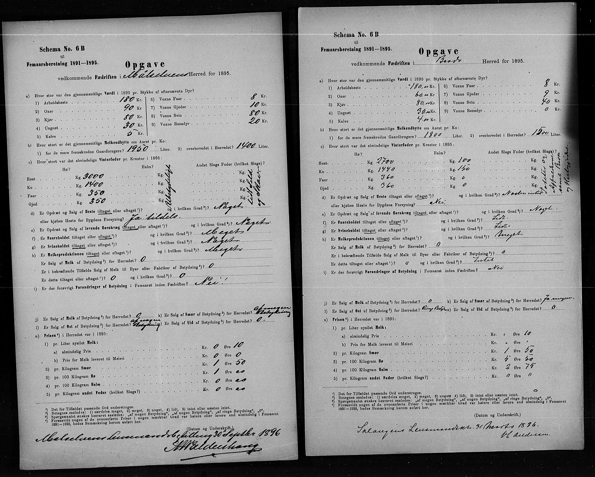 Statistisk sentralbyrå, Næringsøkonomiske emner, Generelt - Amtmennenes femårsberetninger, AV/RA-S-2233/F/Fa/L0080: --, 1895, p. 247