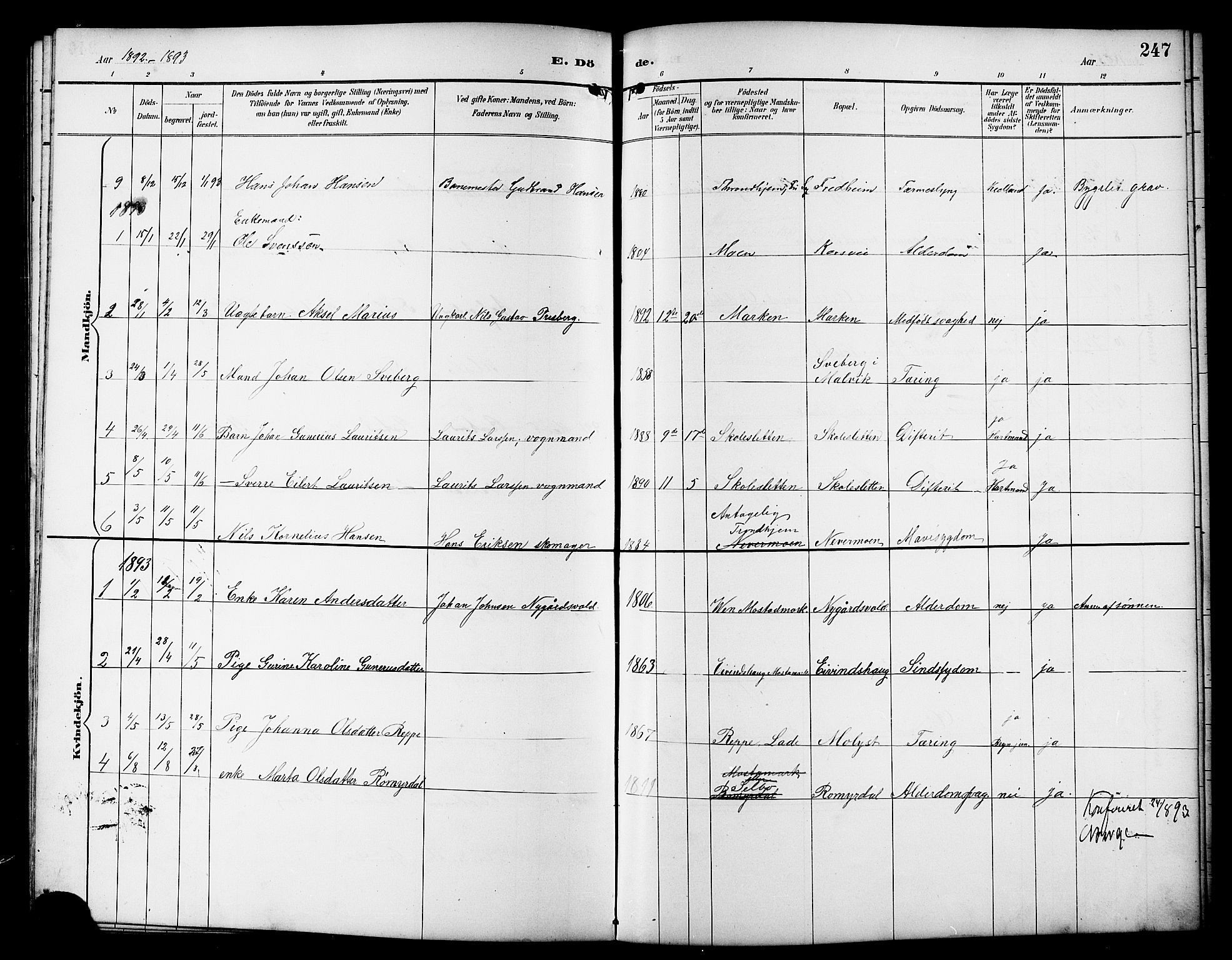 Ministerialprotokoller, klokkerbøker og fødselsregistre - Sør-Trøndelag, SAT/A-1456/617/L0431: Parish register (copy) no. 617C01, 1889-1910, p. 247